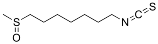 Antioxidants 13 01282 g001