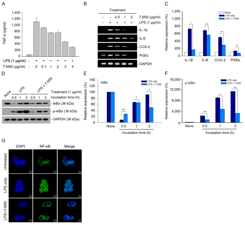 Antioxidants 13 01282 g002