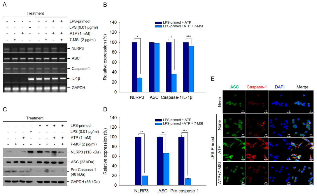 Antioxidants 13 01282 g003