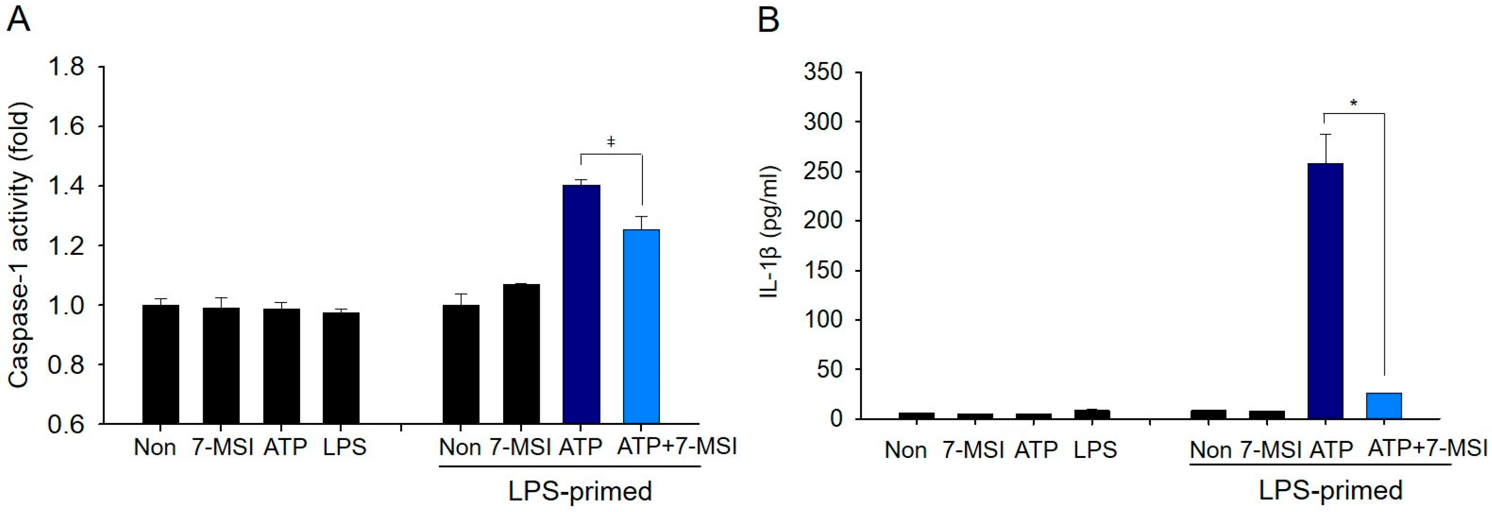 Antioxidants 13 01282 g004