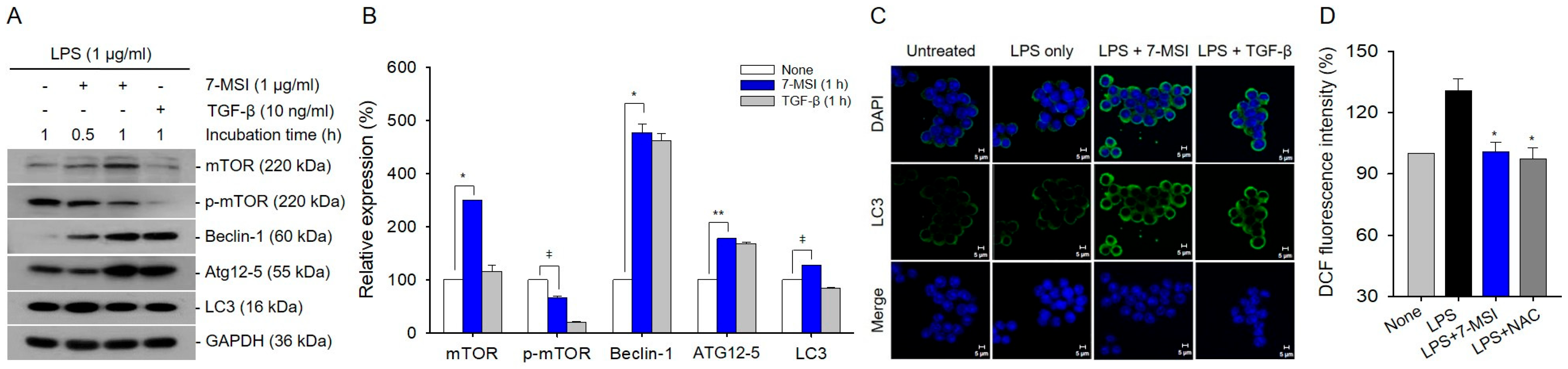Antioxidants 13 01282 g005
