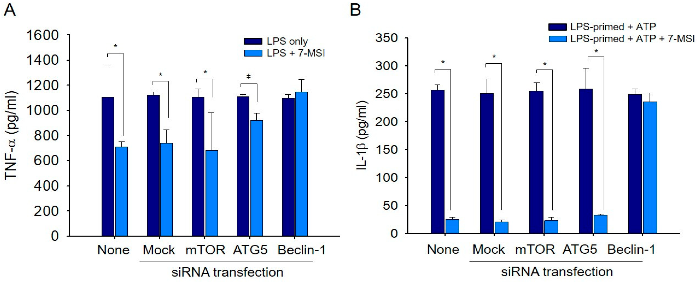 Antioxidants 13 01282 g006
