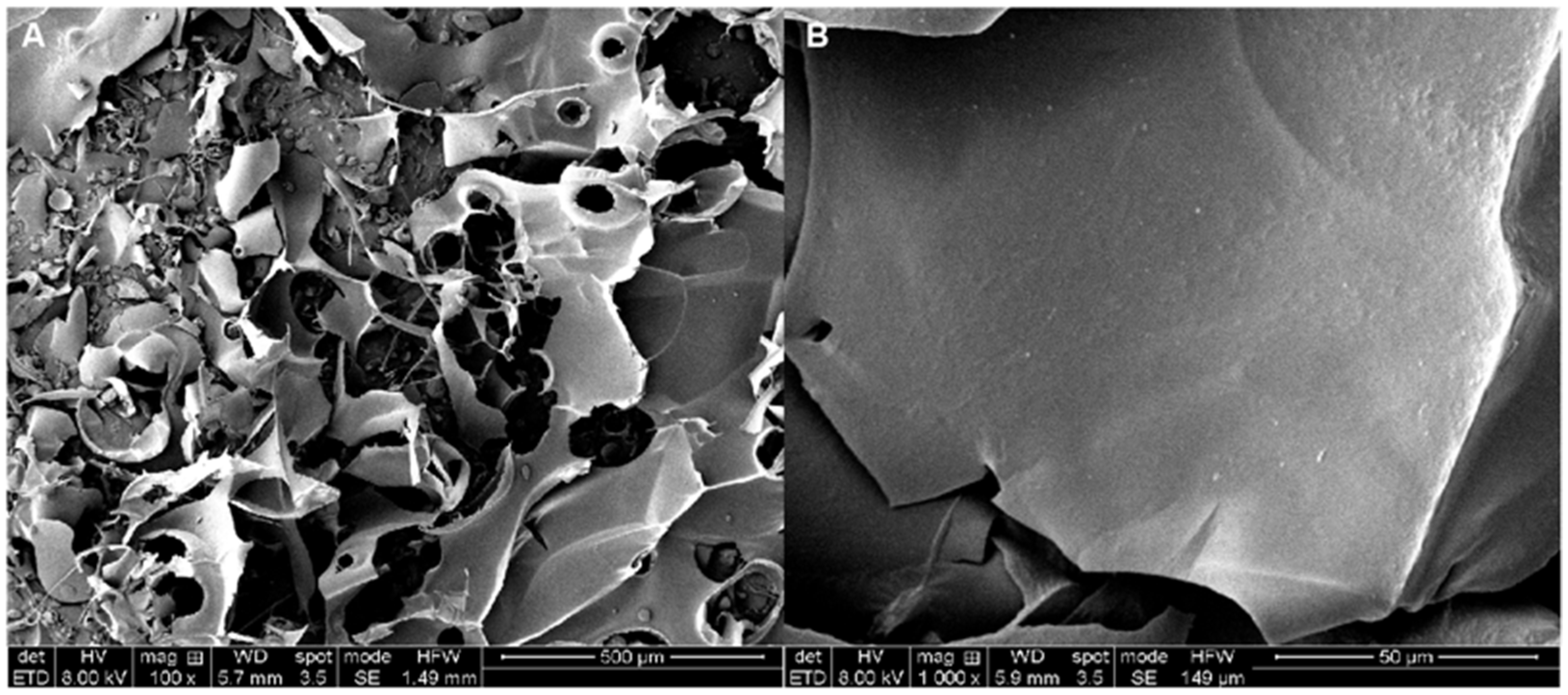 Antioxidants 13 01289 g004