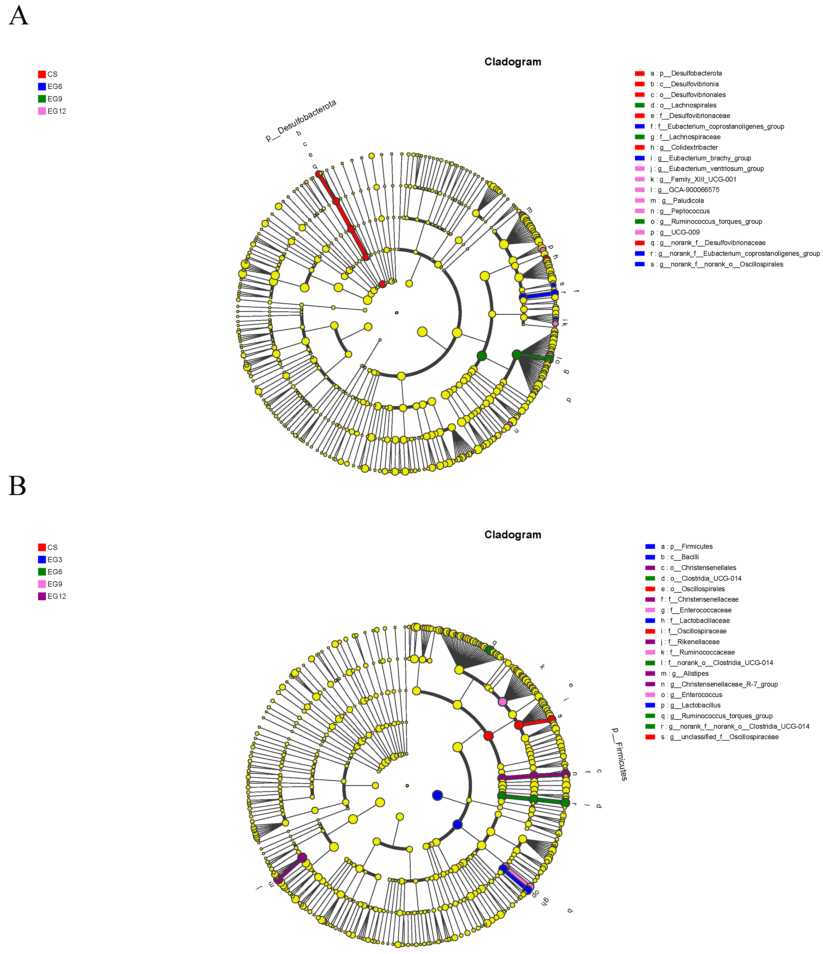 Antioxidants 13 01291 g010