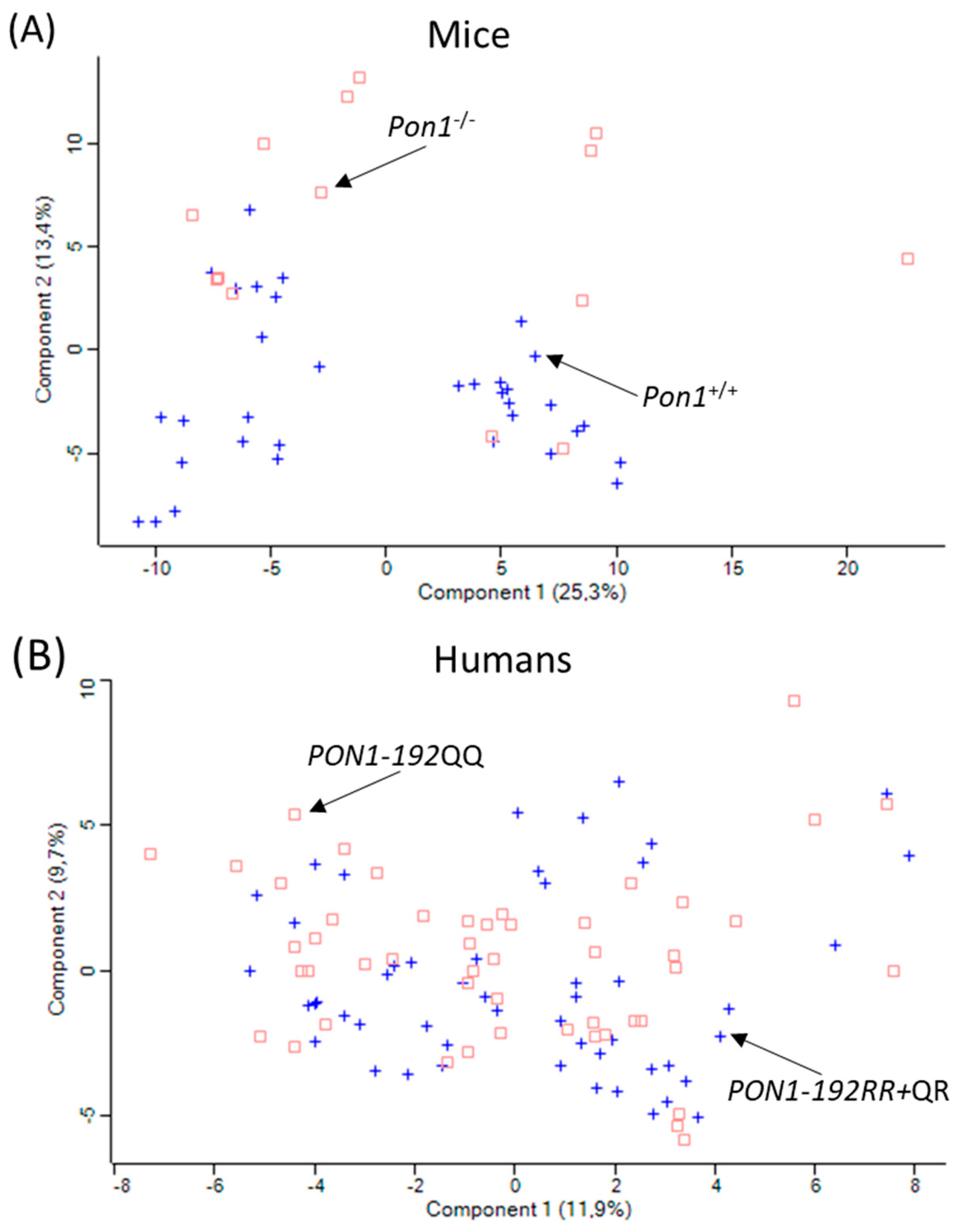 Antioxidants 13 01292 g006