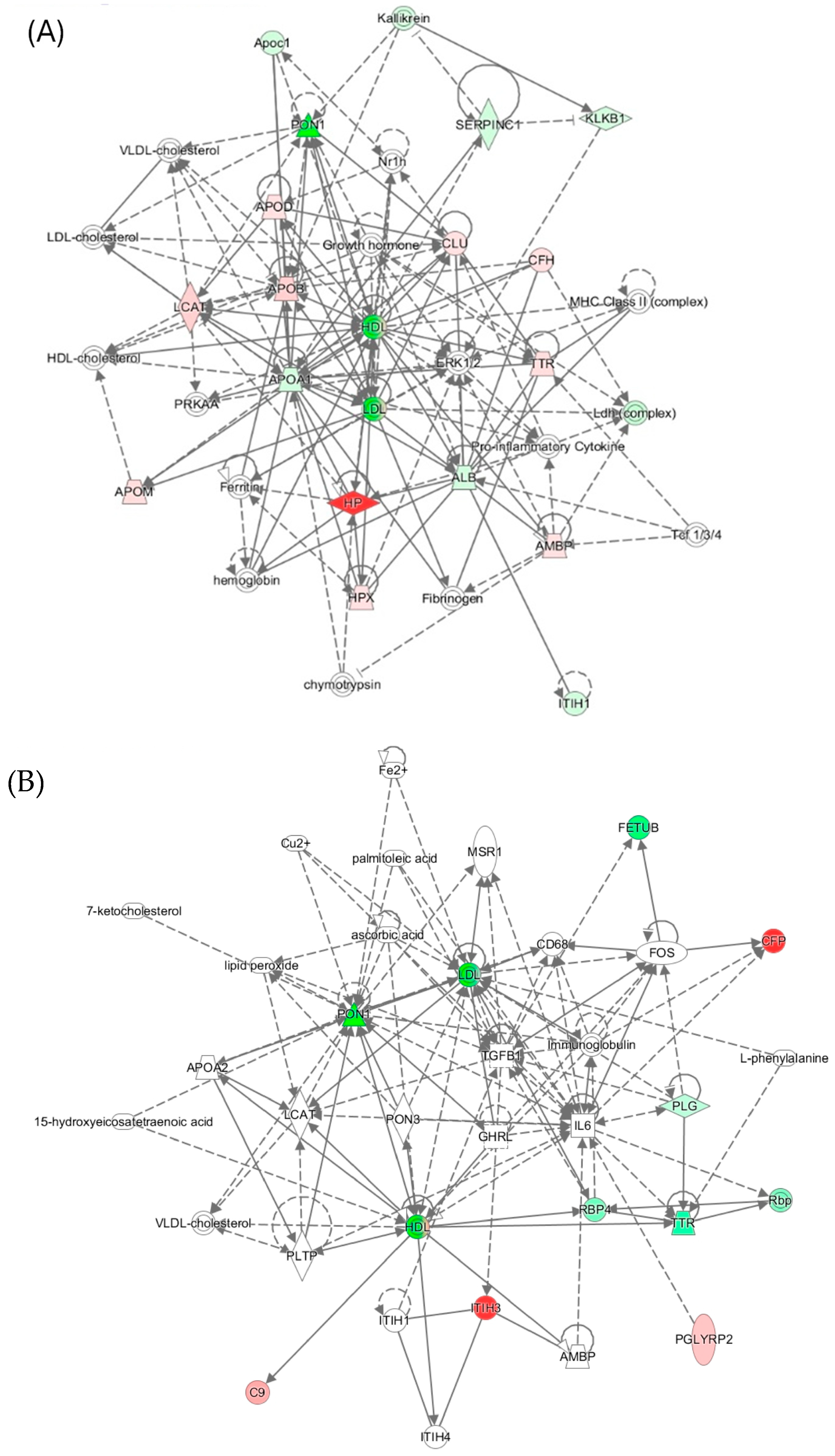Antioxidants 13 01292 g007