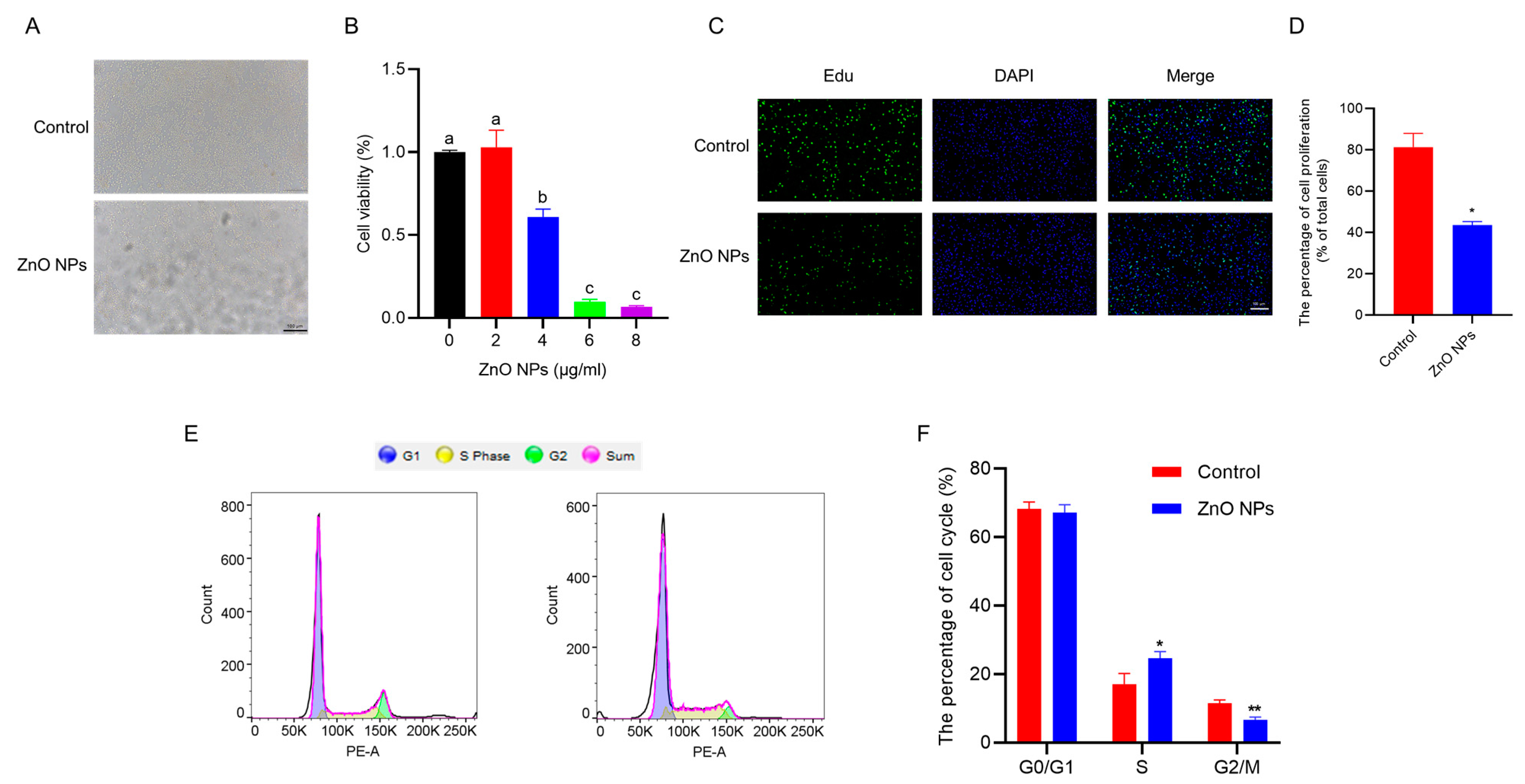 Antioxidants 13 01295 g002