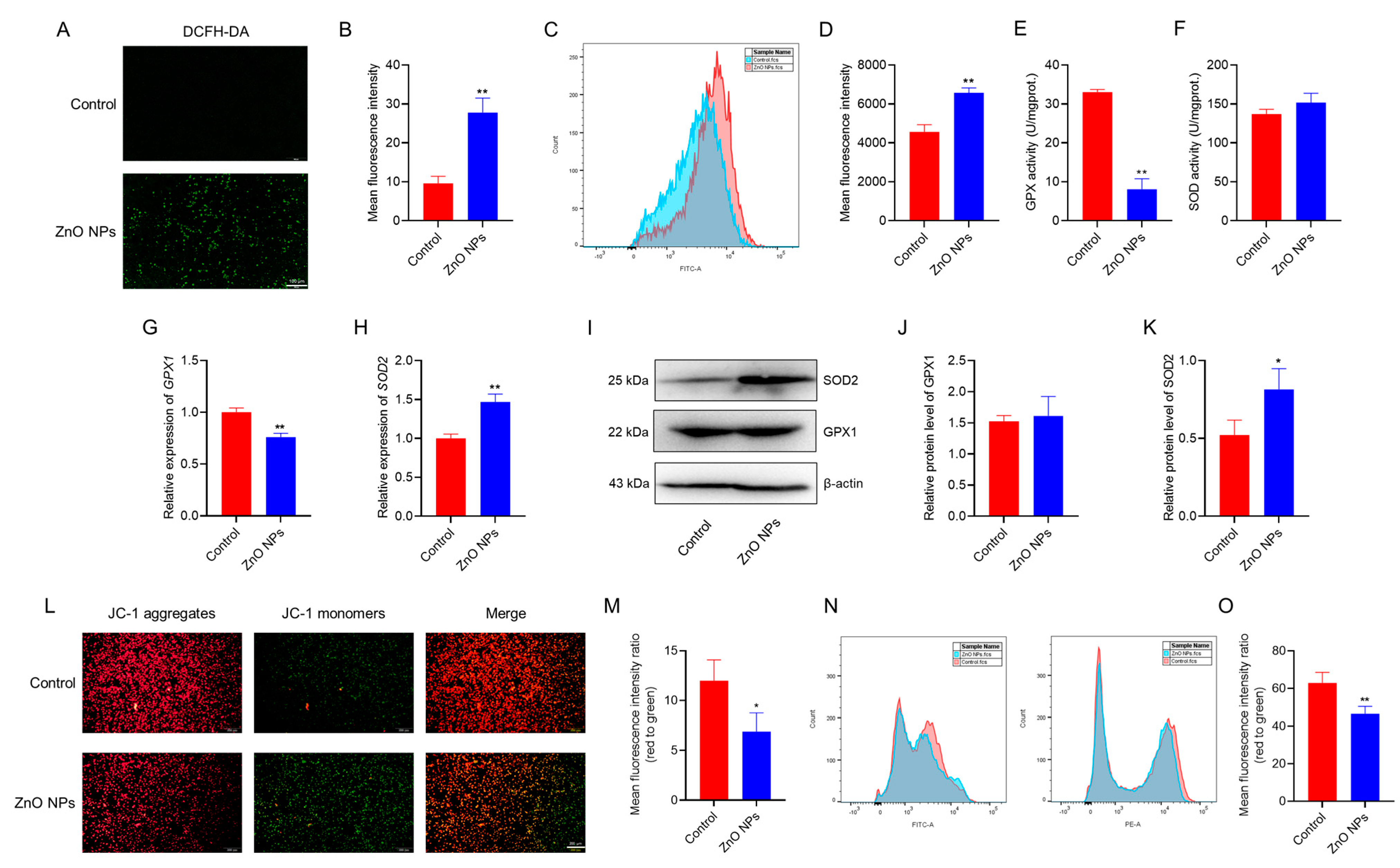 Antioxidants 13 01295 g004