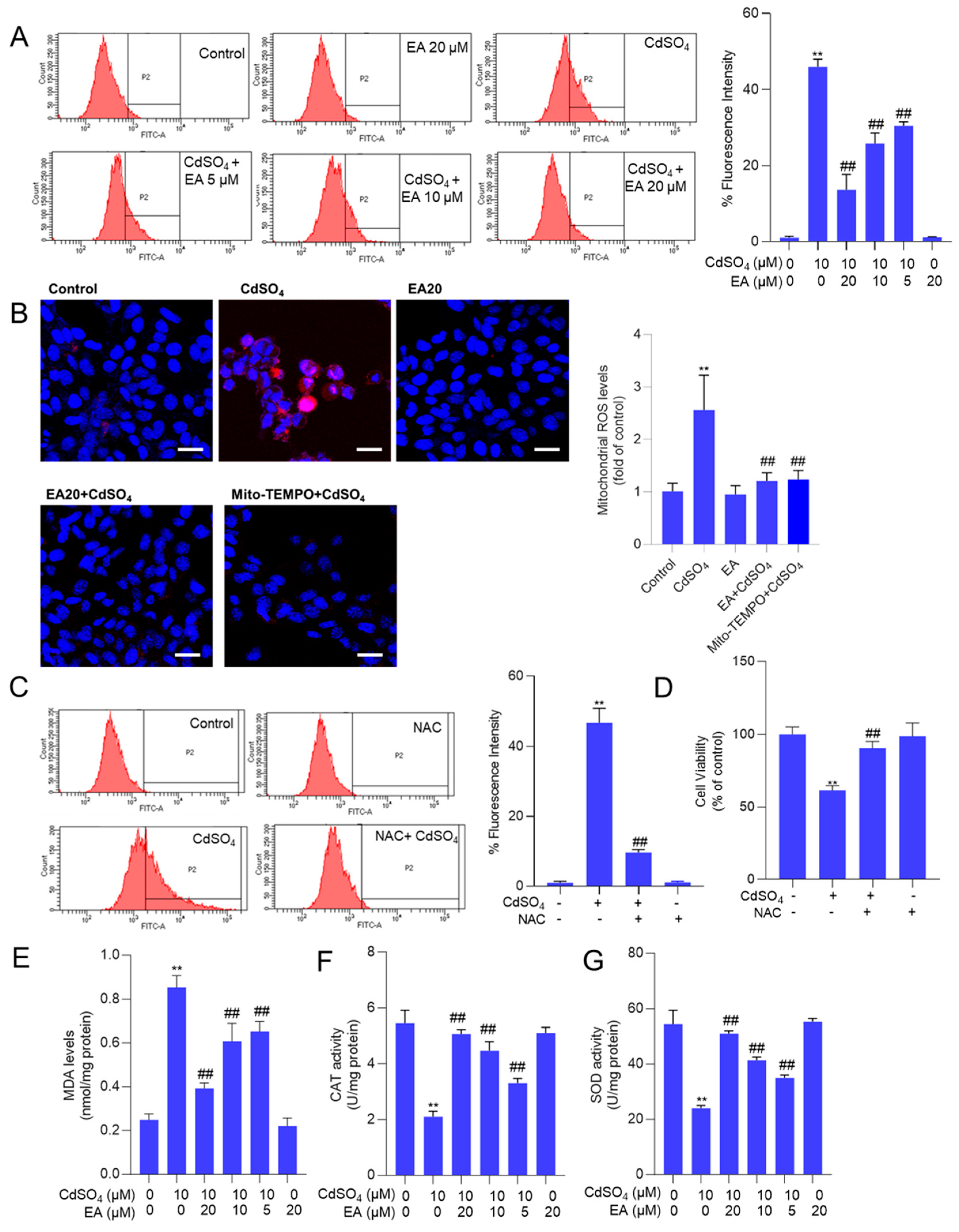Antioxidants 13 01296 g004