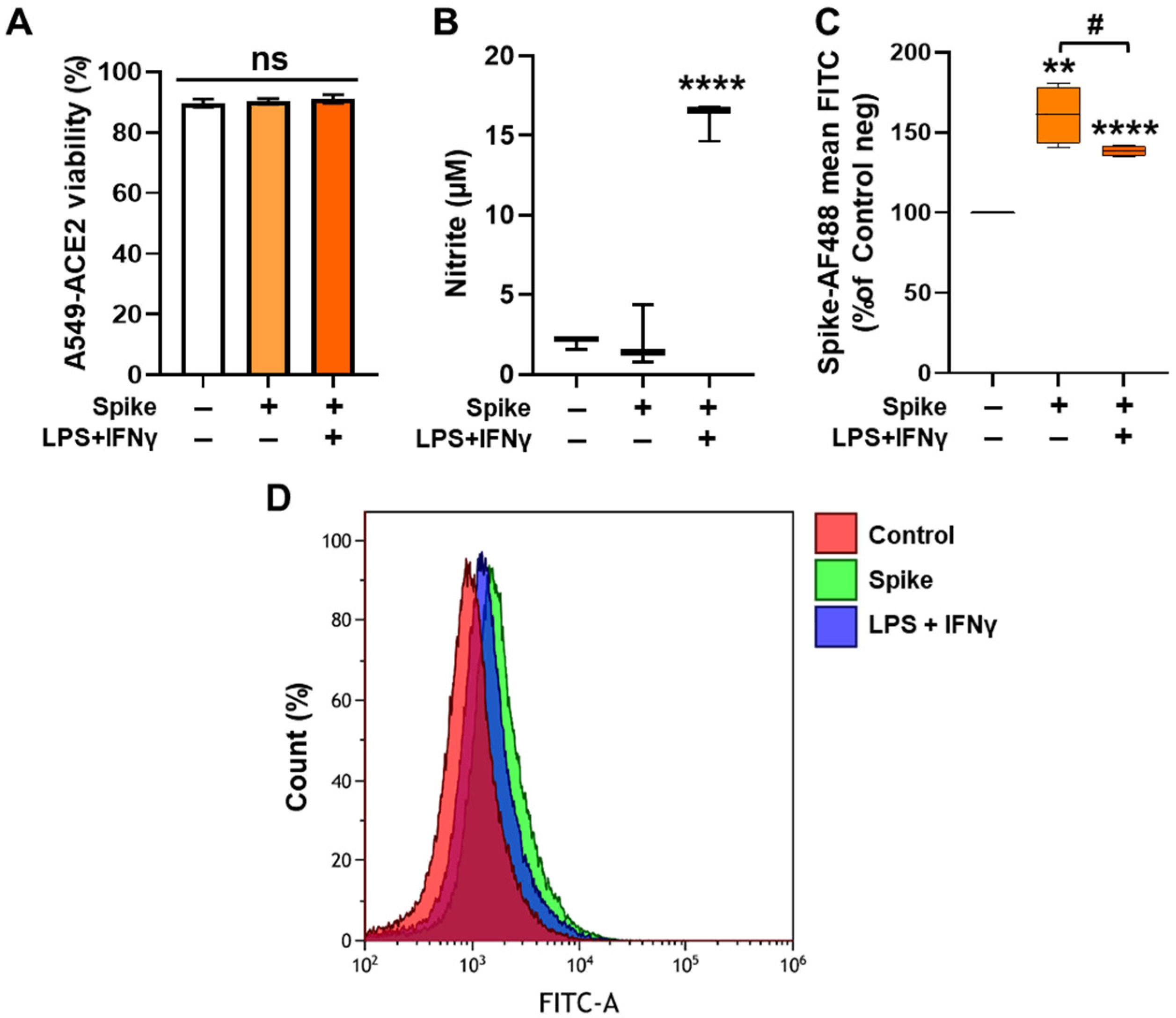 Antioxidants 13 01301 g004