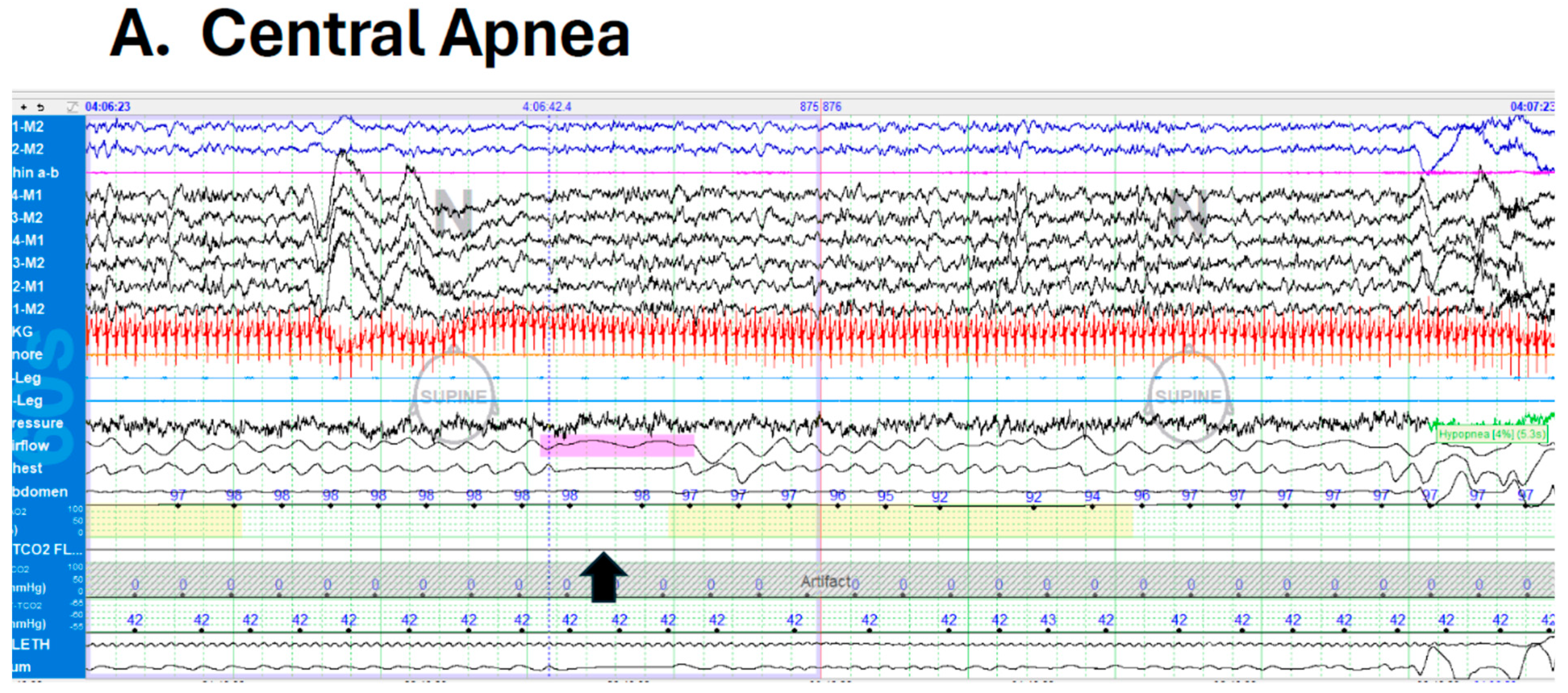 Antioxidants 13 01304 g001a