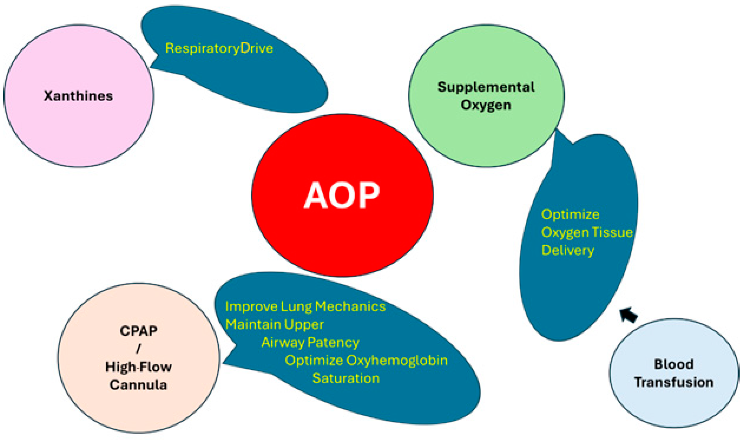 Antioxidants 13 01304 g002