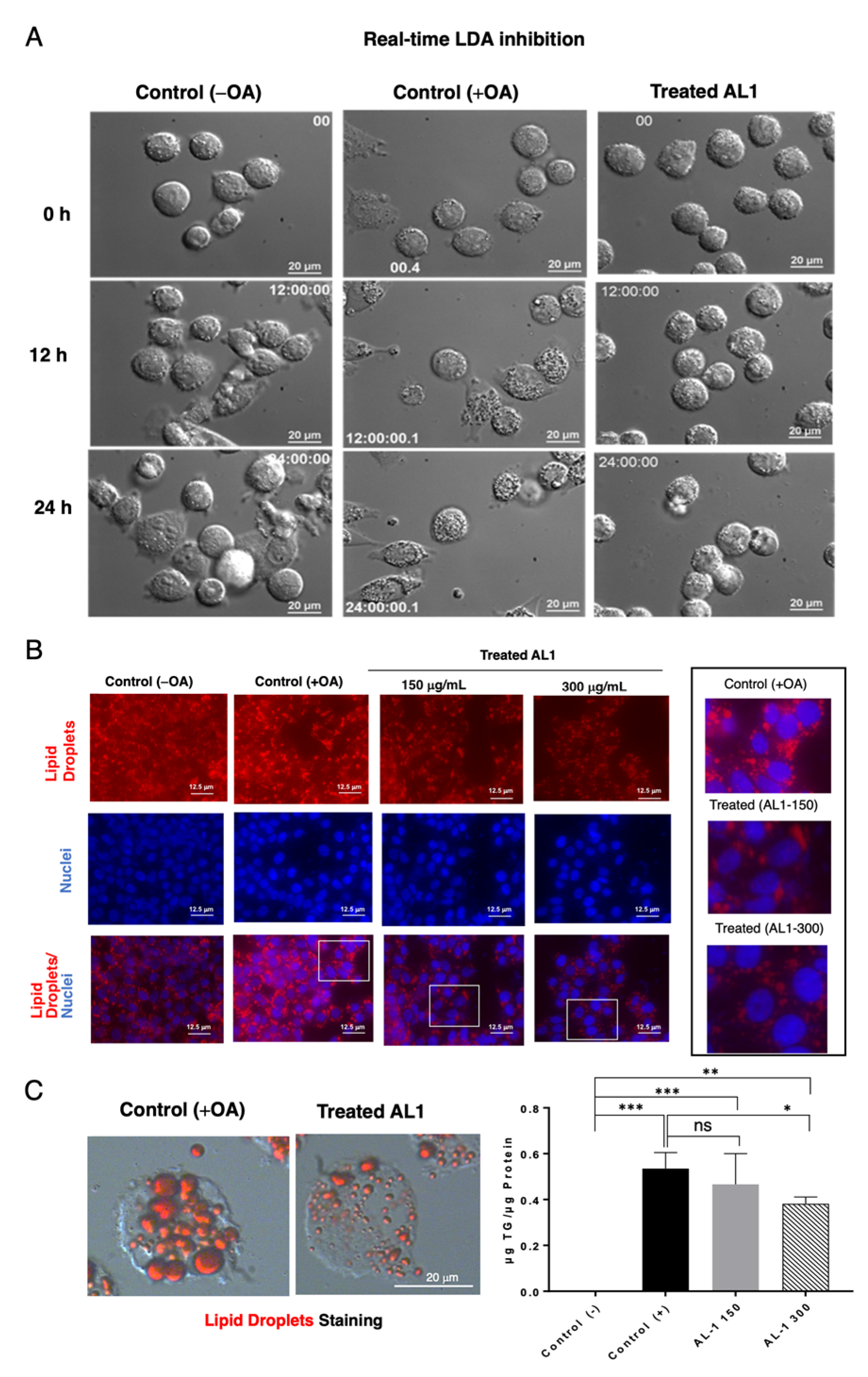 Antioxidants 13 01310 g003
