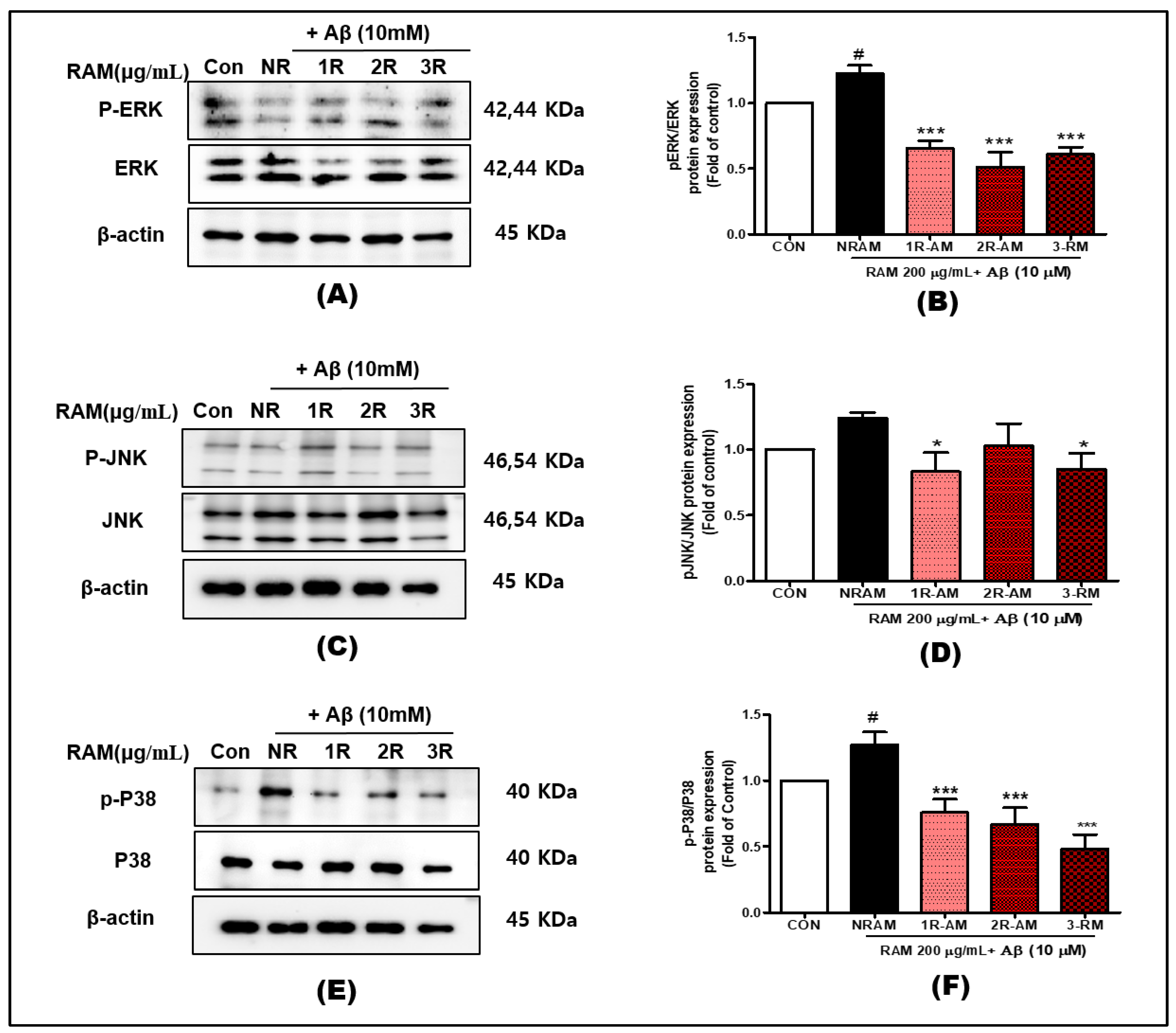 Antioxidants 13 01311 g008