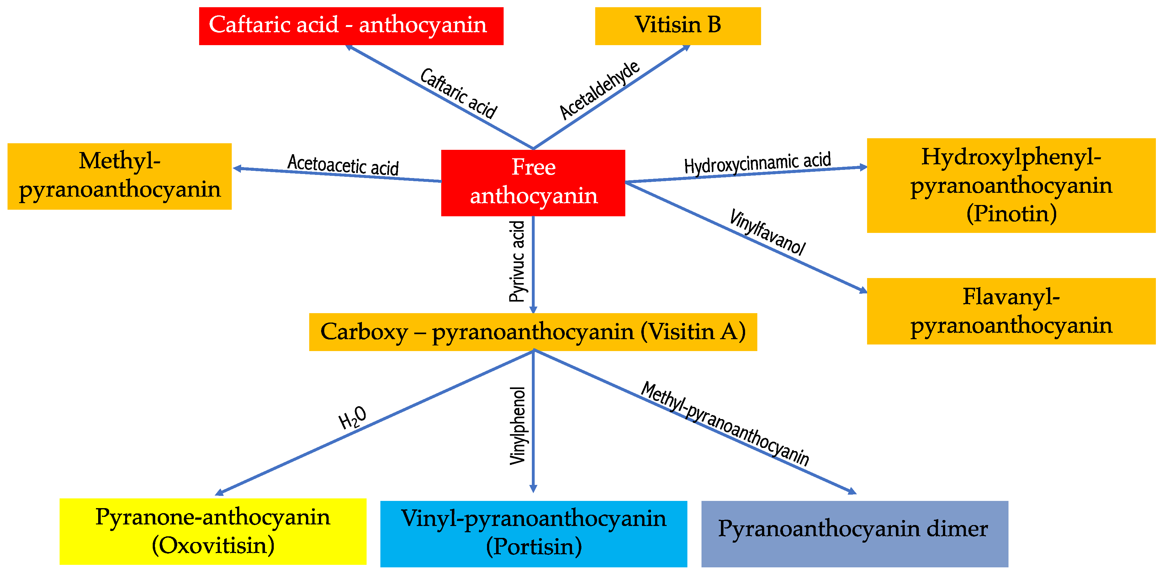 Antioxidants 13 01312 g004
