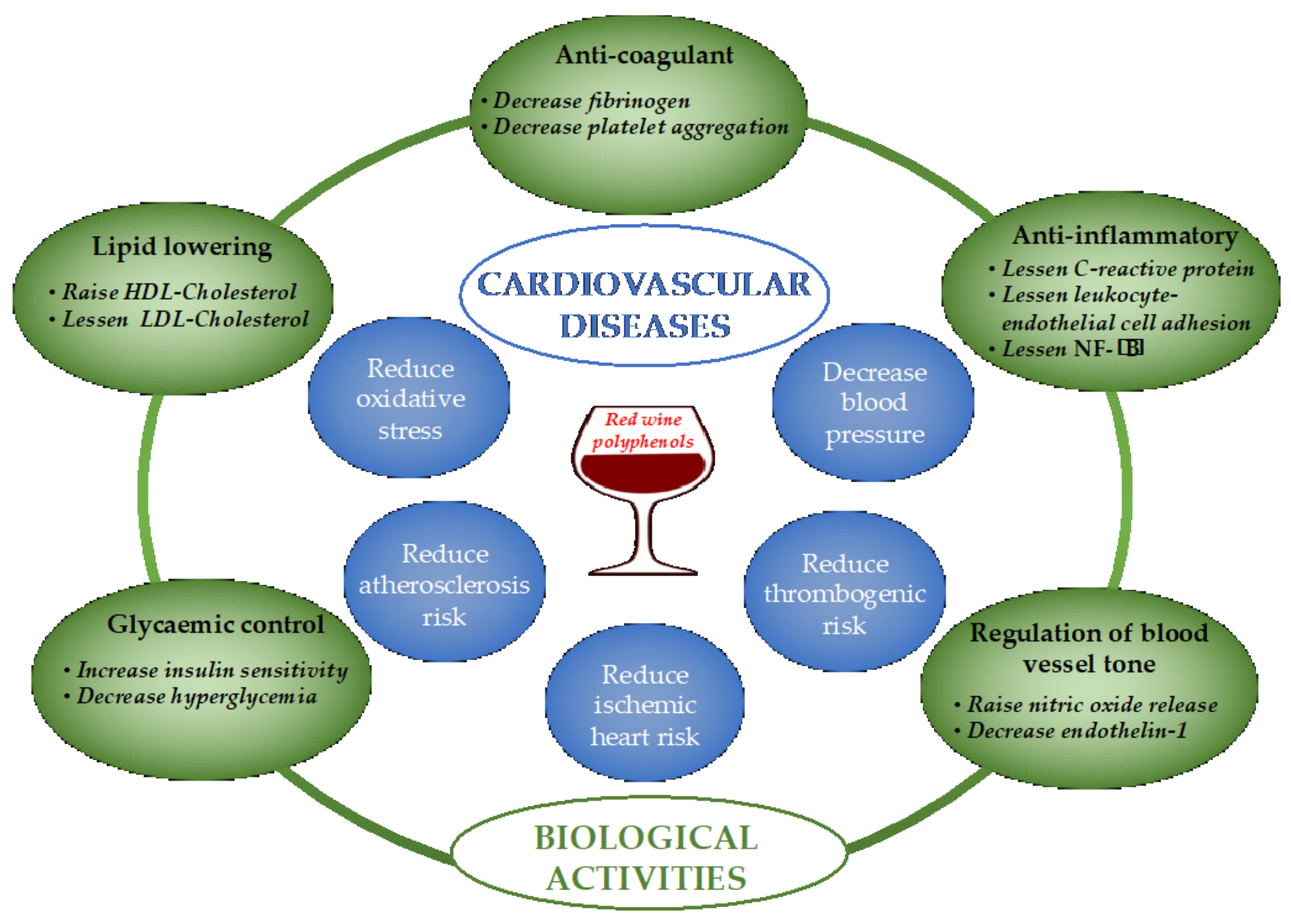 Antioxidants 13 01312 g006