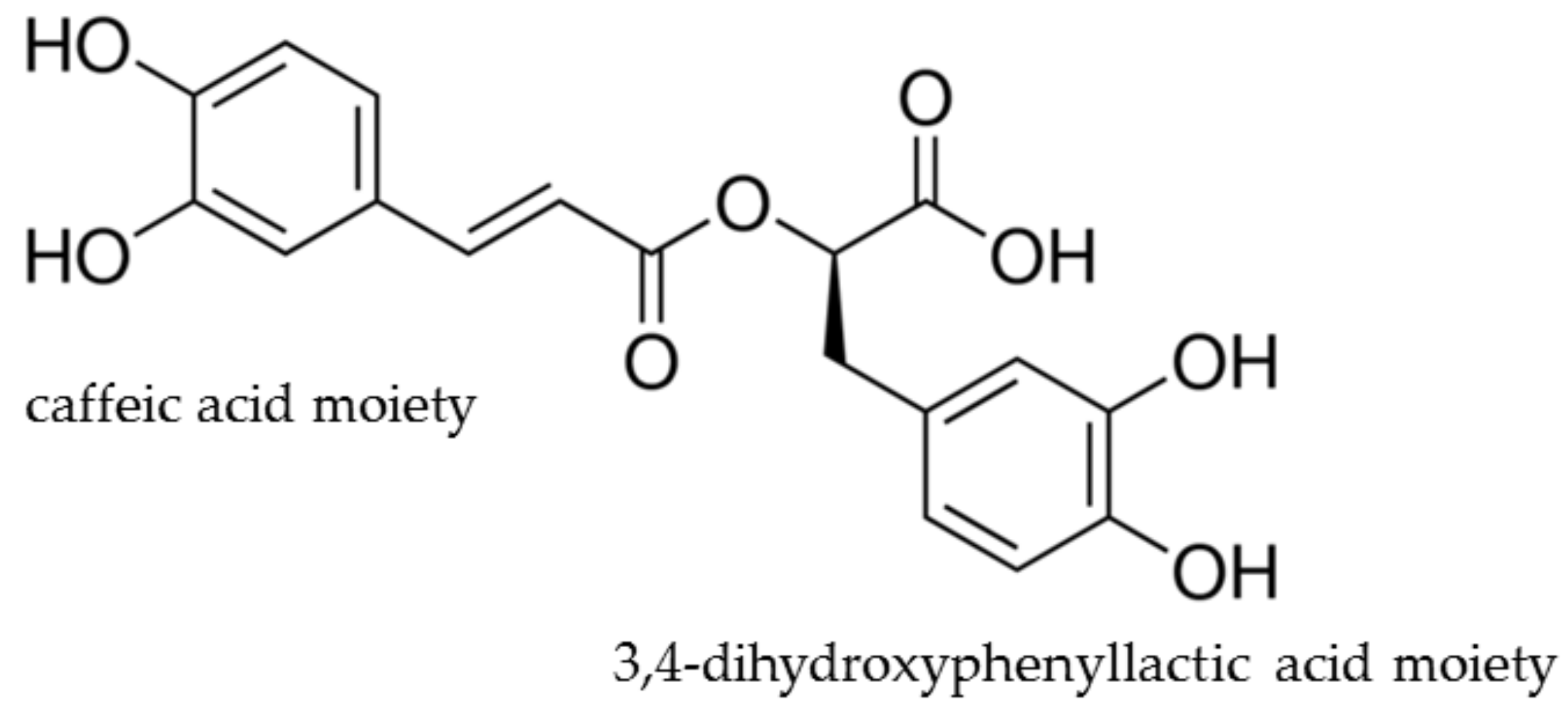 Antioxidants 13 01313 g001