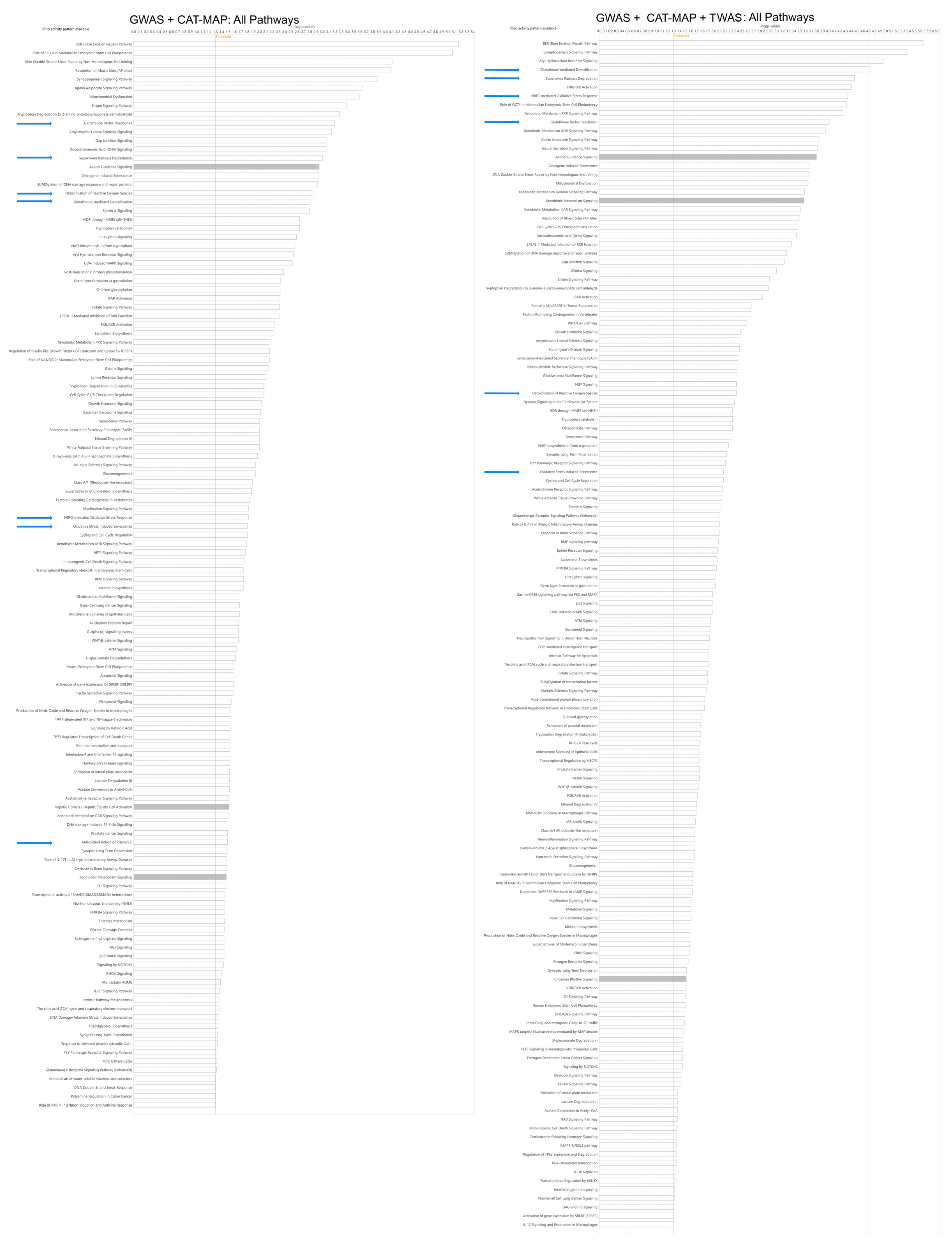 Antioxidants 13 01315 g001