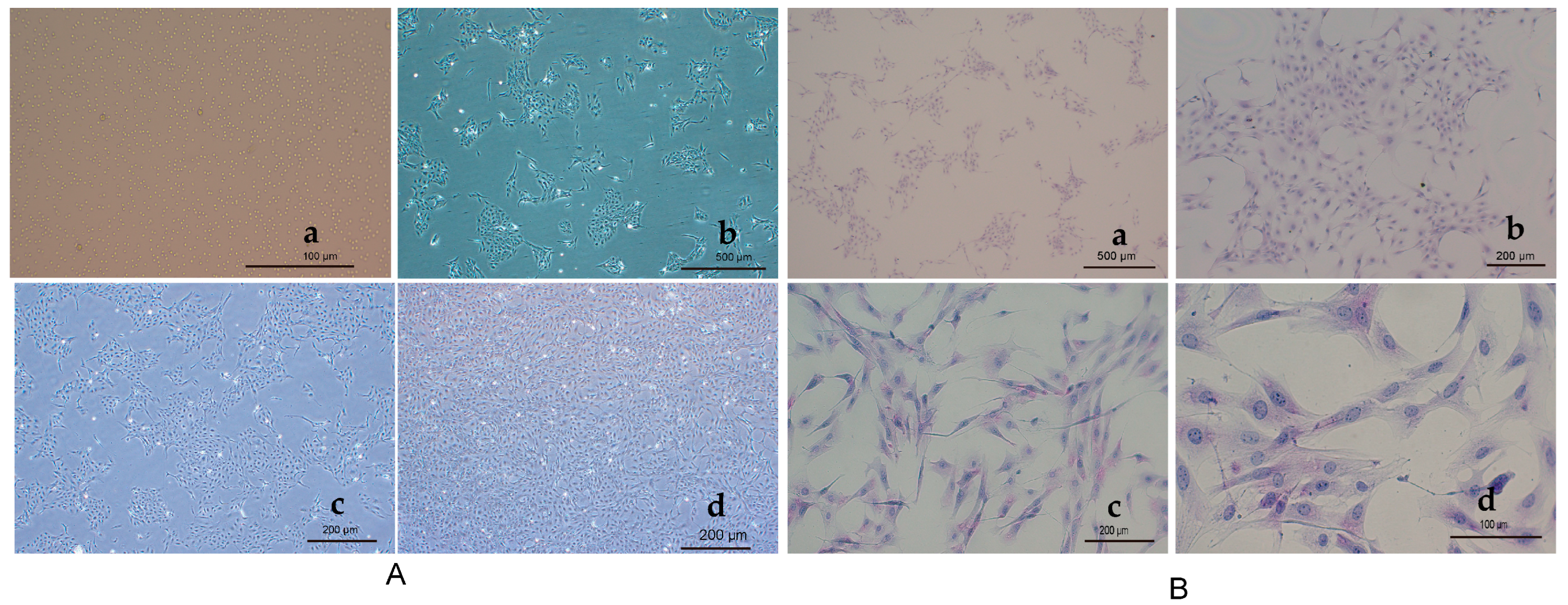 Antioxidants 13 01316 g002