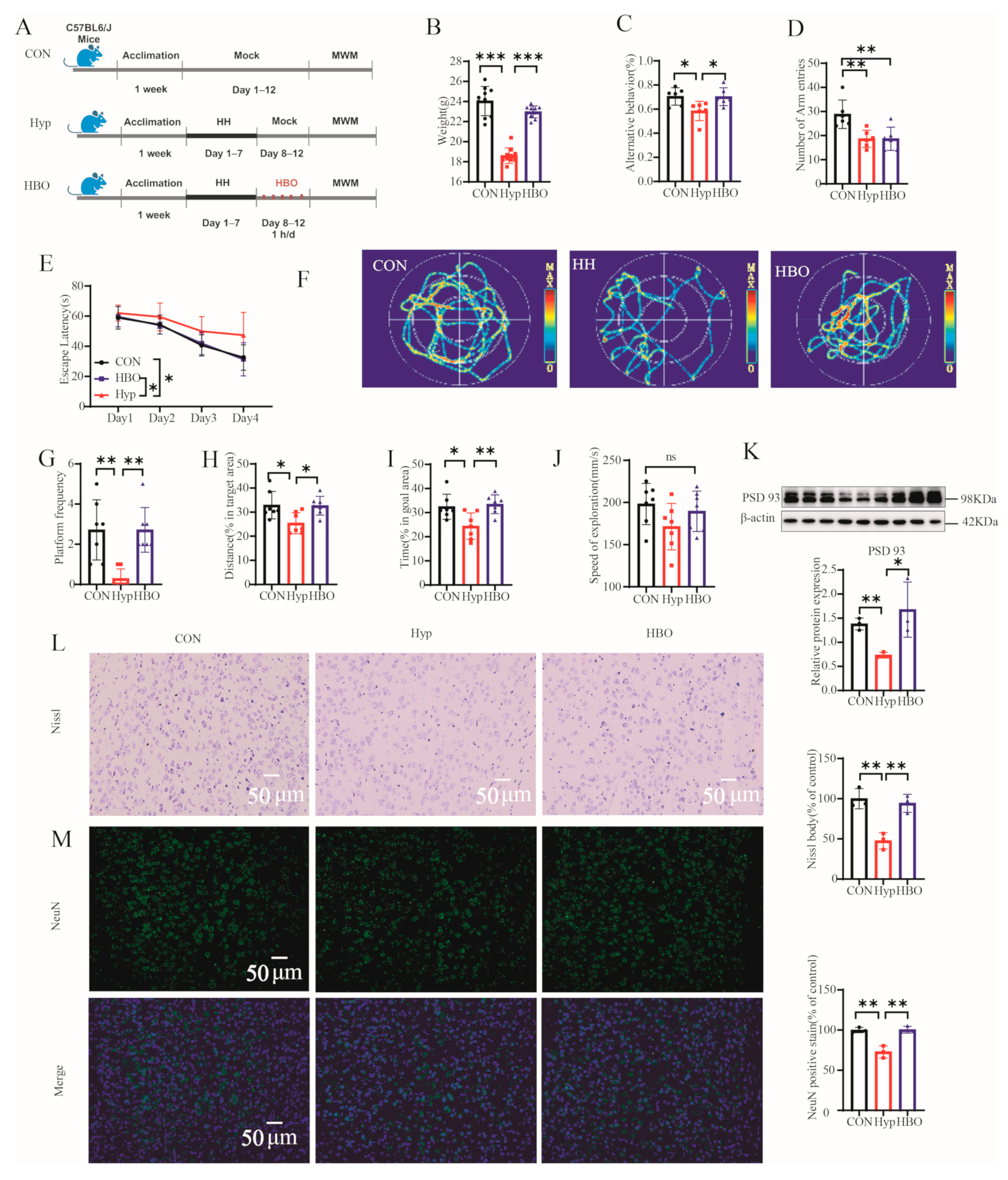 Antioxidants 13 01320 g001