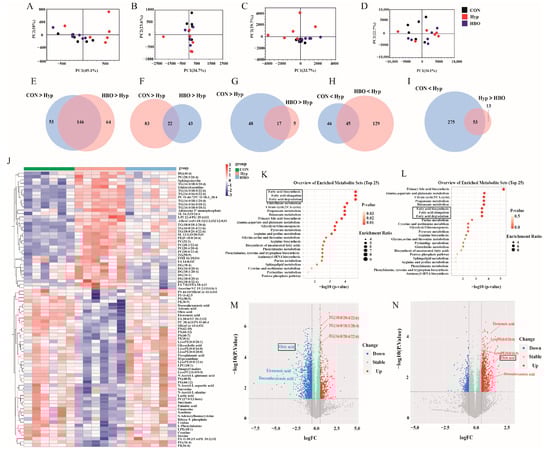 Antioxidants 13 01320 g002