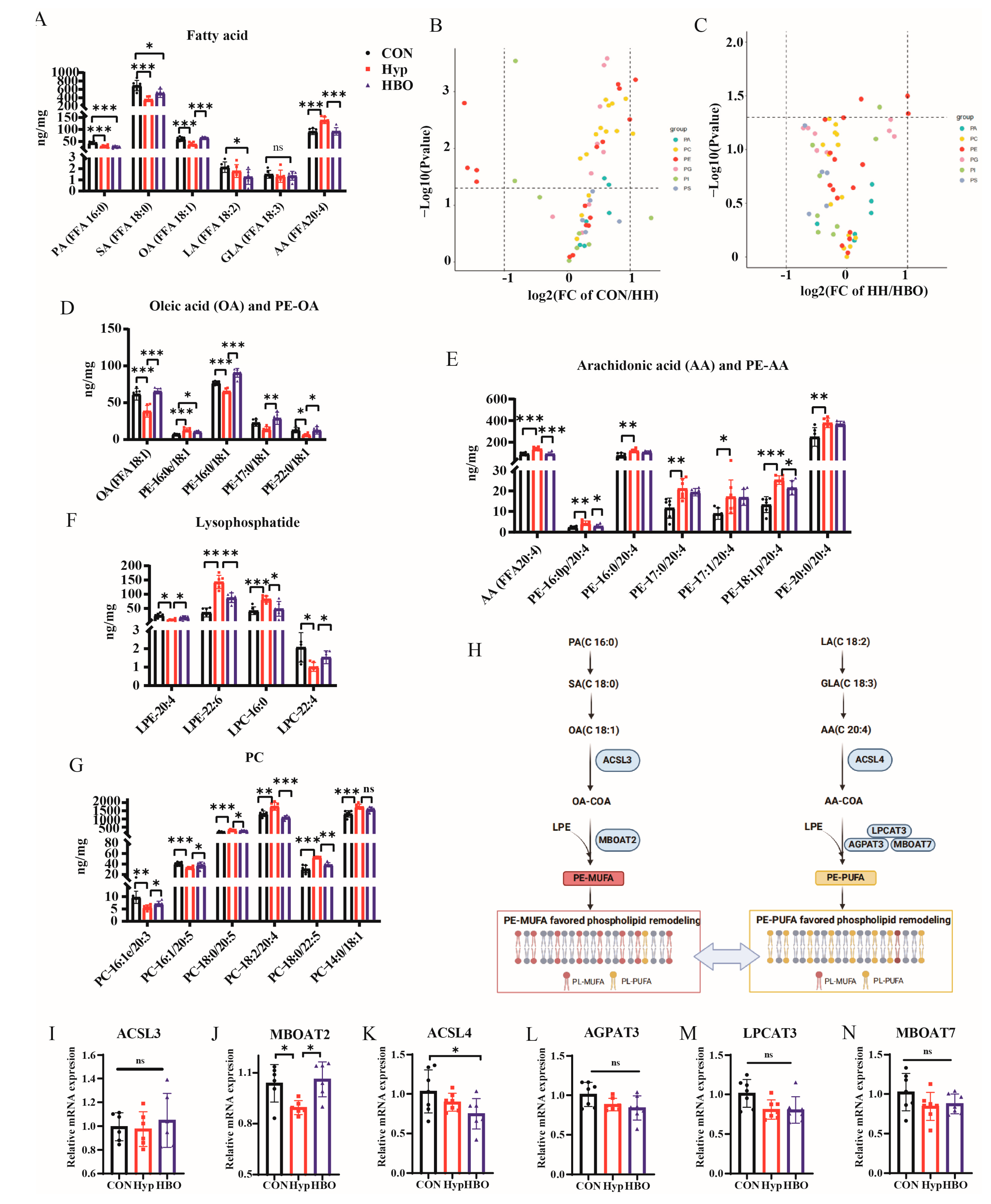 Antioxidants 13 01320 g003