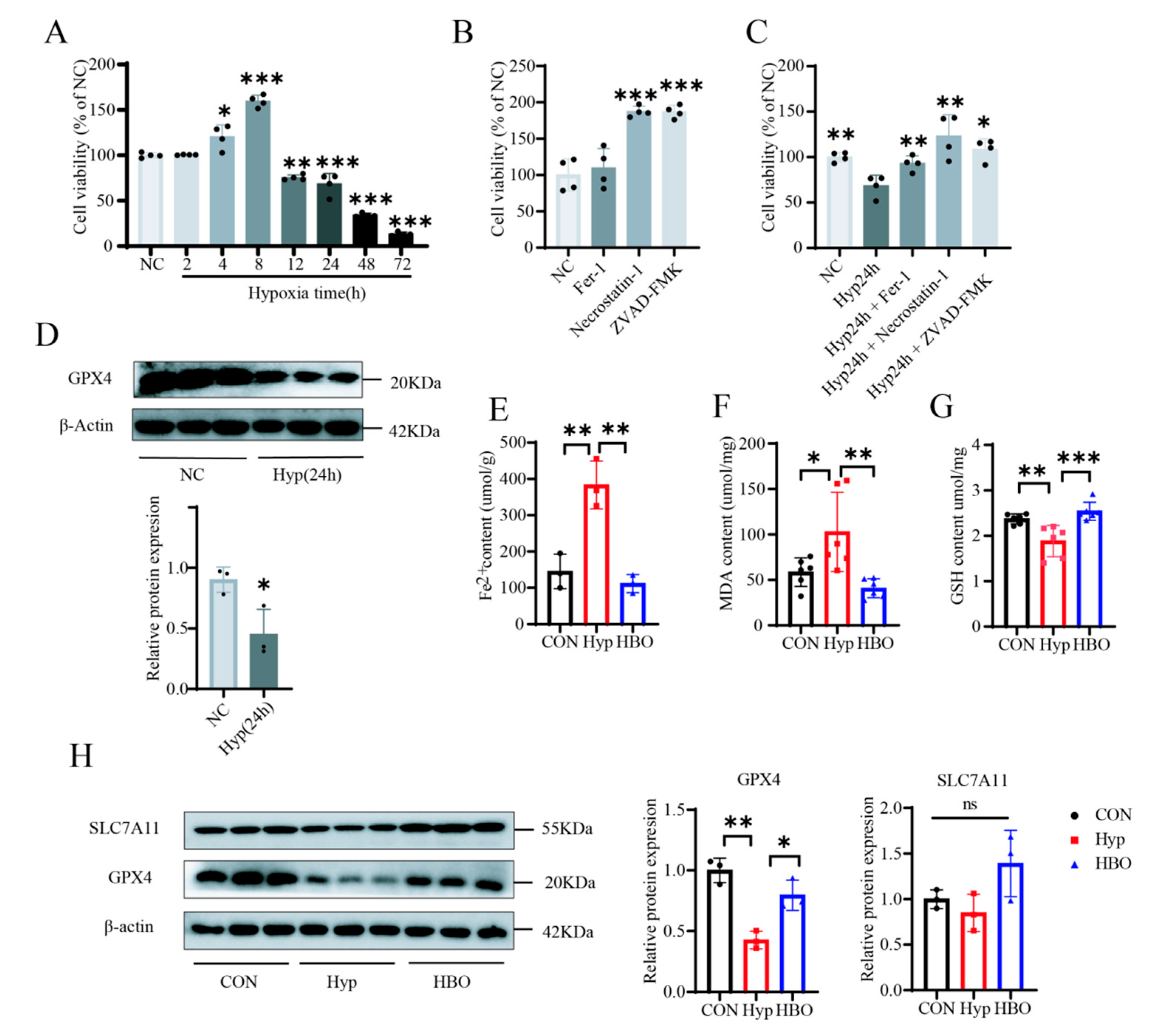 Antioxidants 13 01320 g004