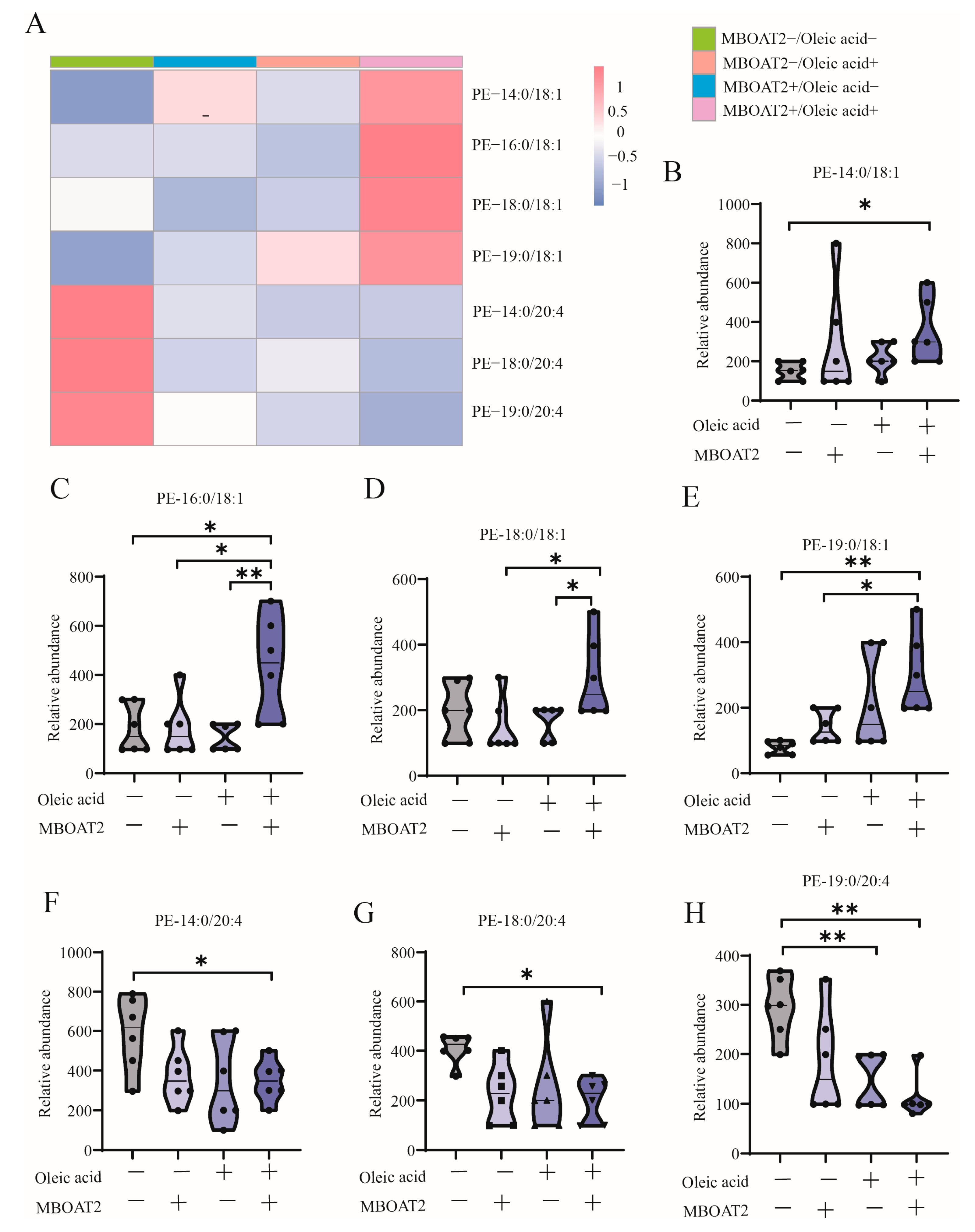 Antioxidants 13 01320 g006