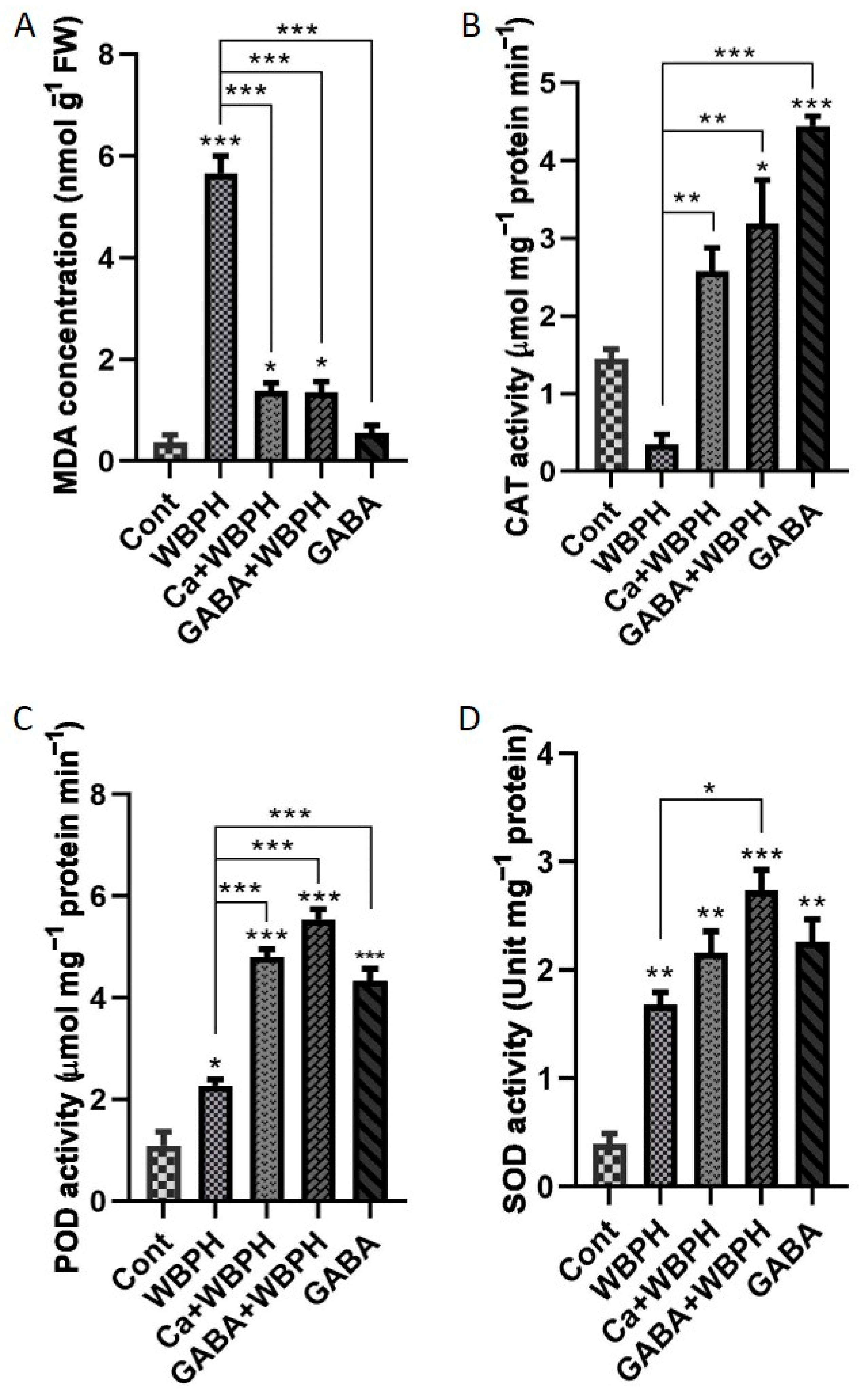 Antioxidants 13 01321 g003