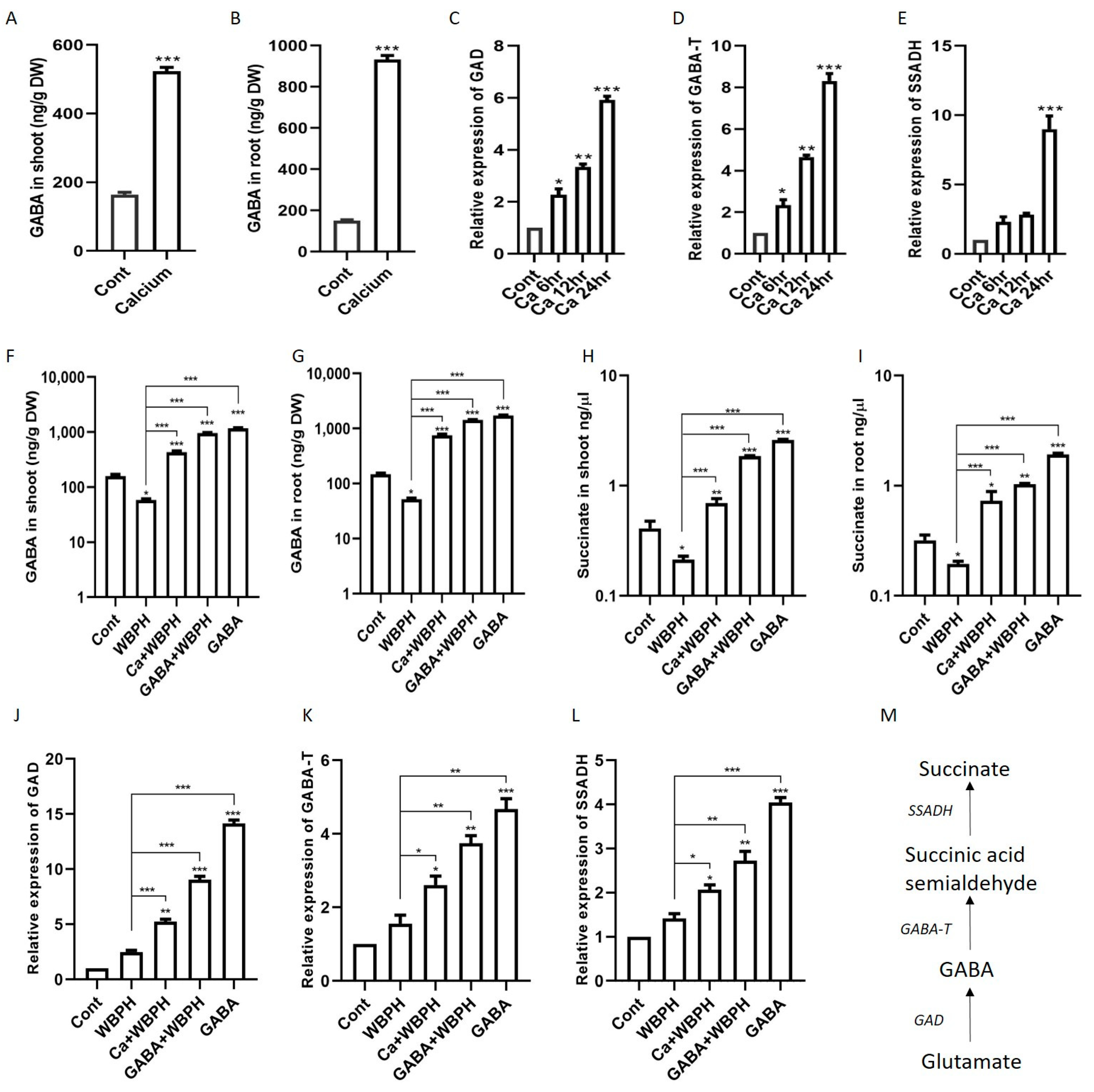Antioxidants 13 01321 g005