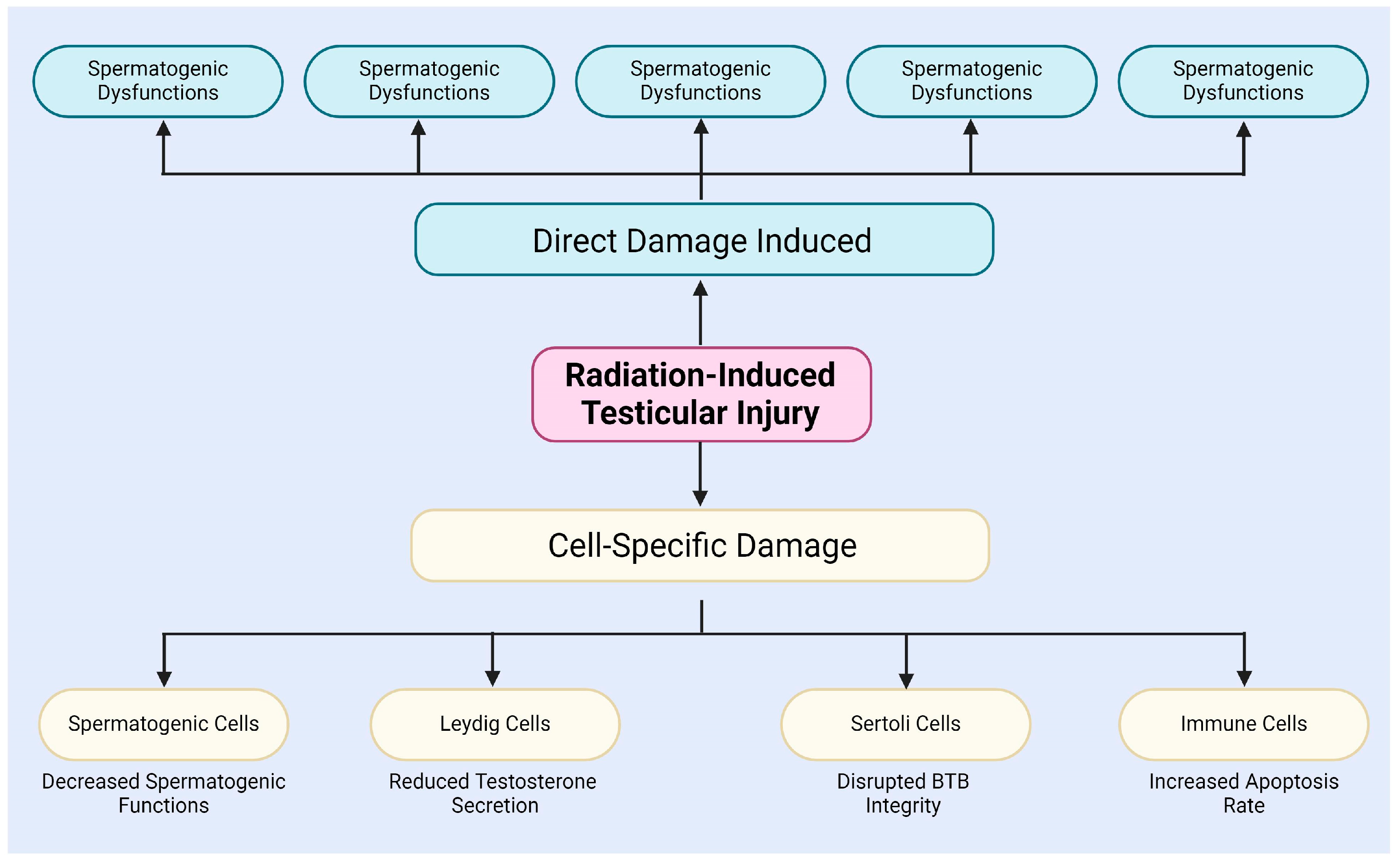 Antioxidants 13 01322 g001