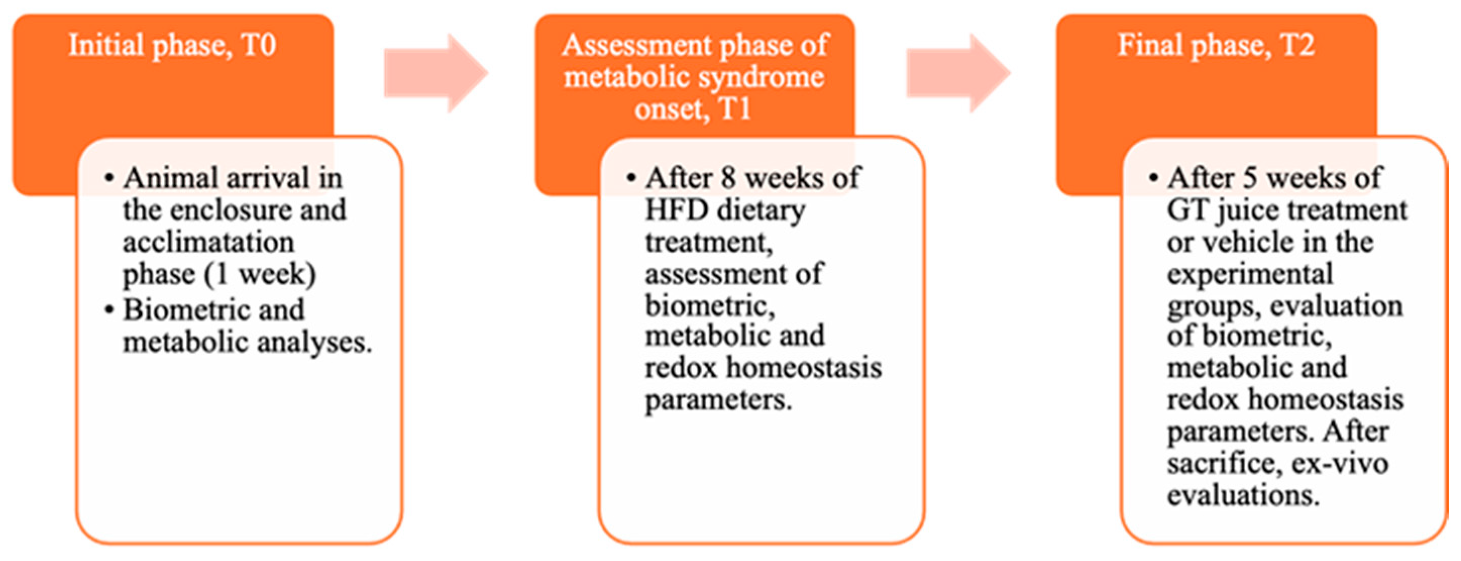 Antioxidants 13 01324 g001