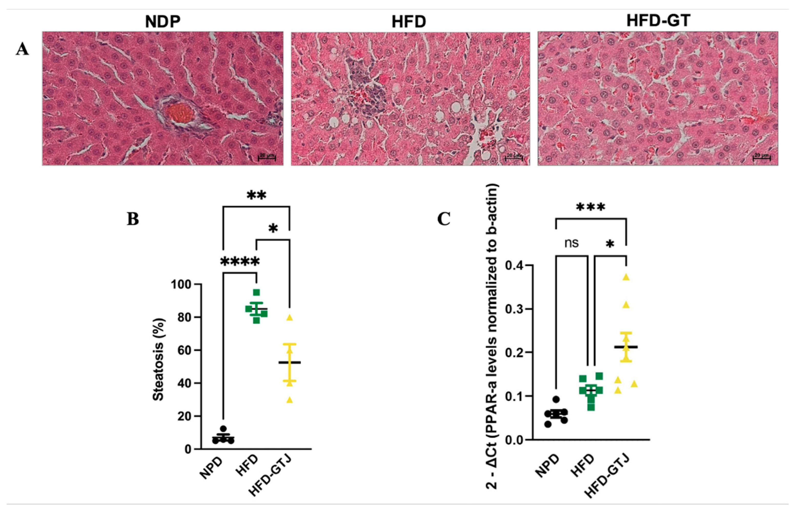 Antioxidants 13 01324 g004