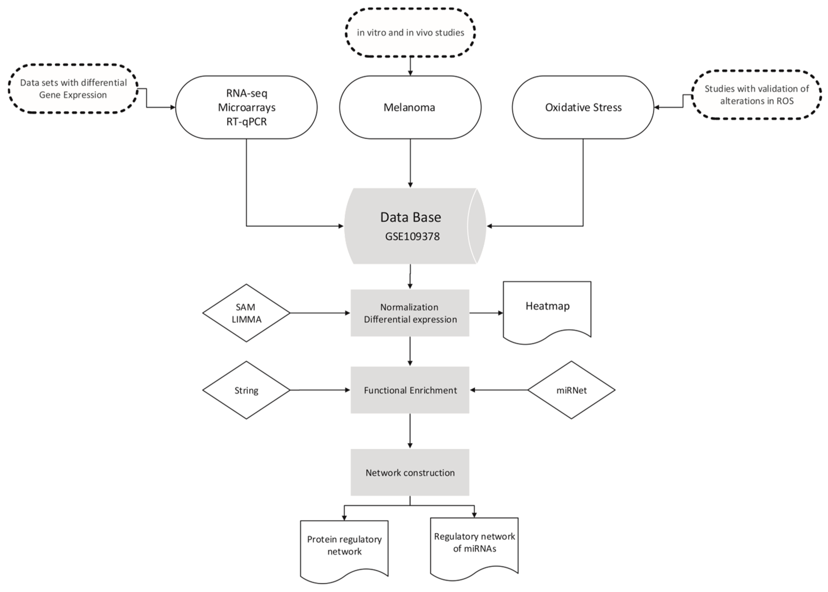 Antioxidants 13 01326 g001