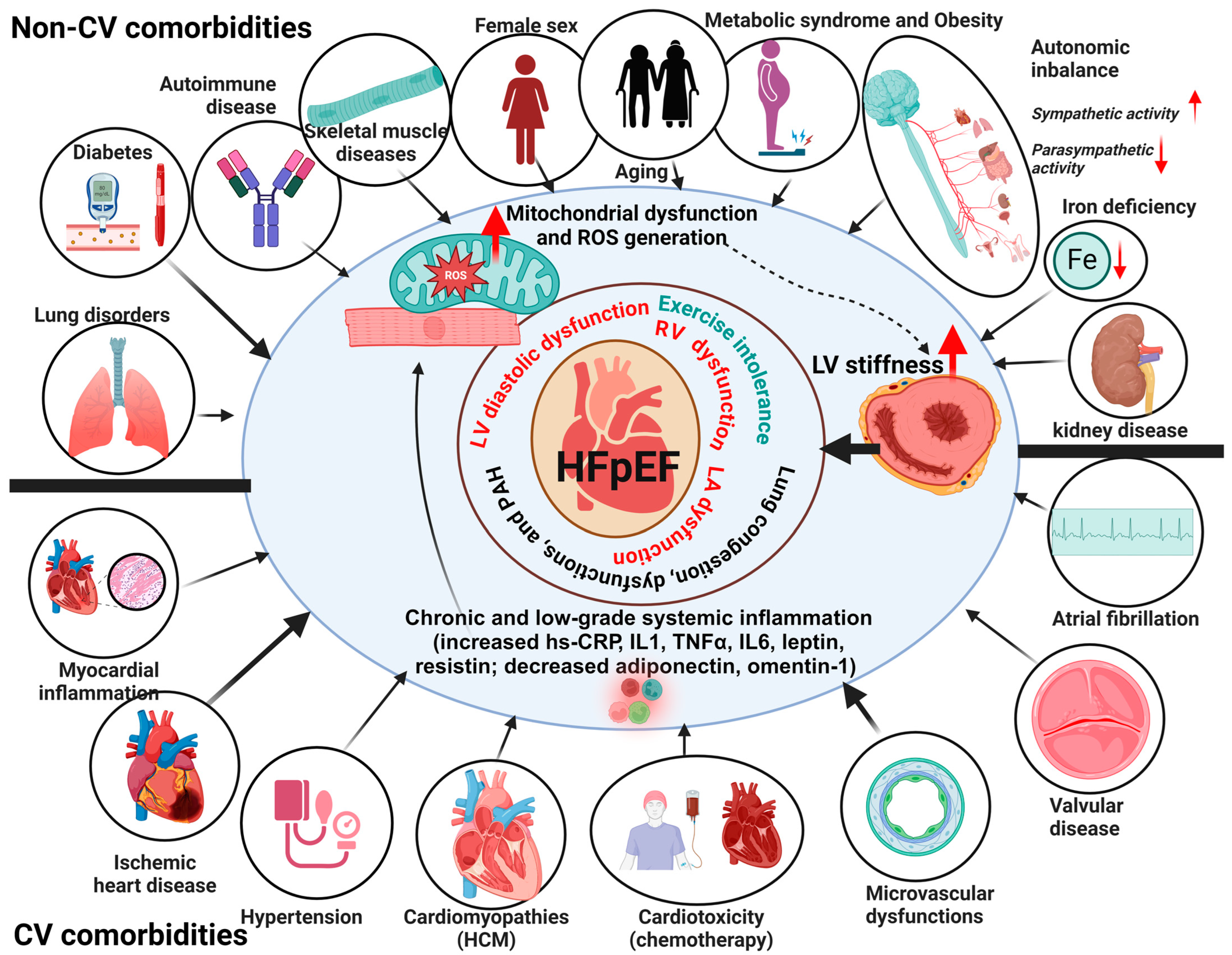 Antioxidants 13 01330 g001 Antioxidants 13 01330 g001
