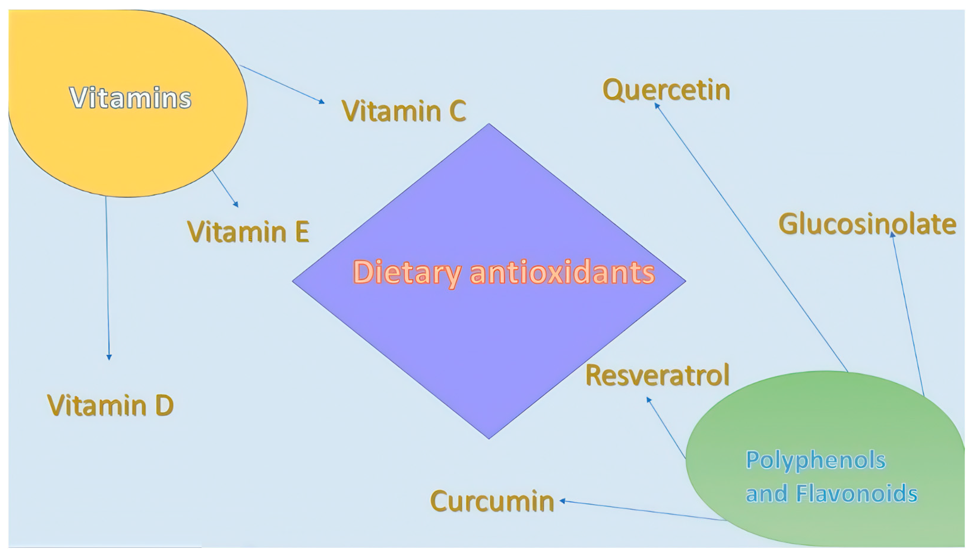 Antioxidants 13 01331 g002