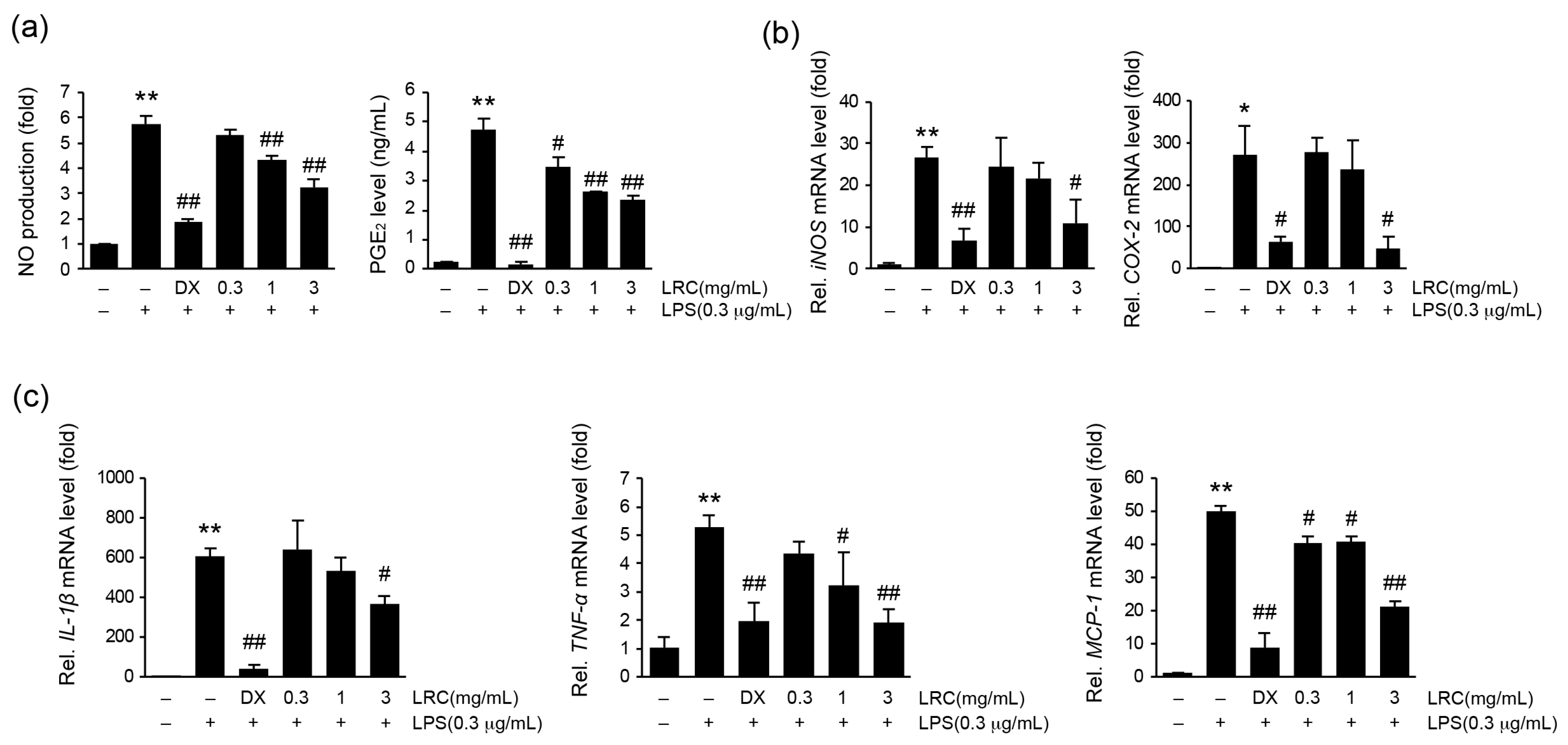 Antioxidants 13 01332 g001 Antioxidants 13 01332 g001