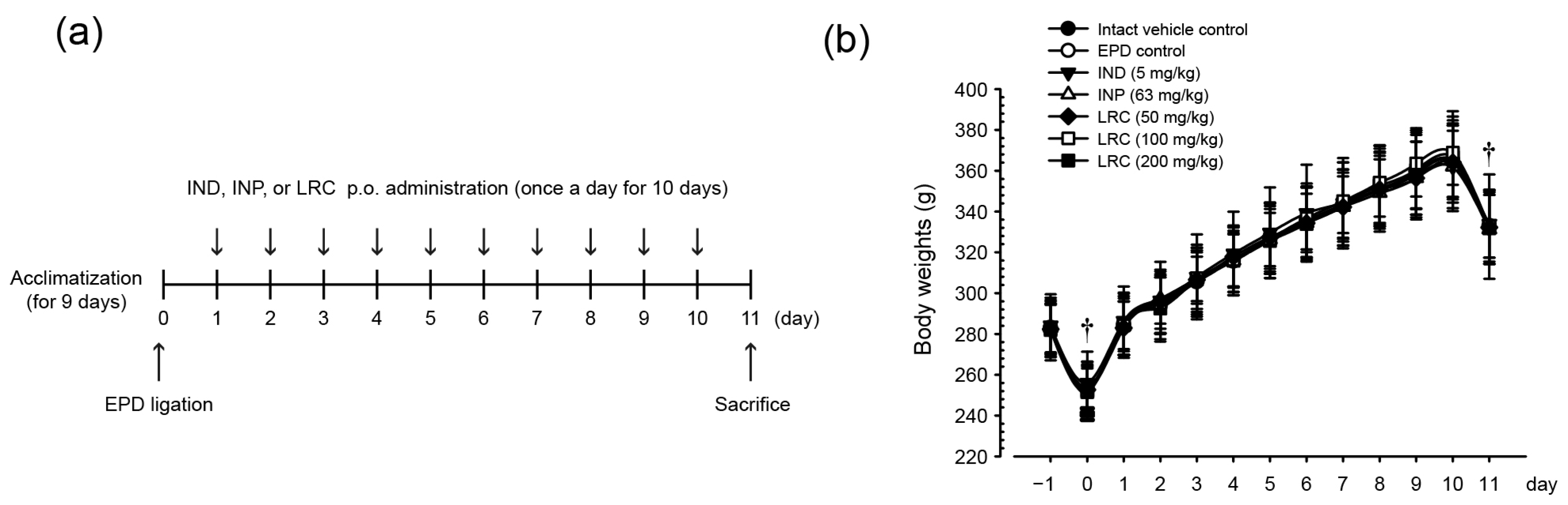 Antioxidants 13 01332 g003 Antioxidants 13 01332 g003