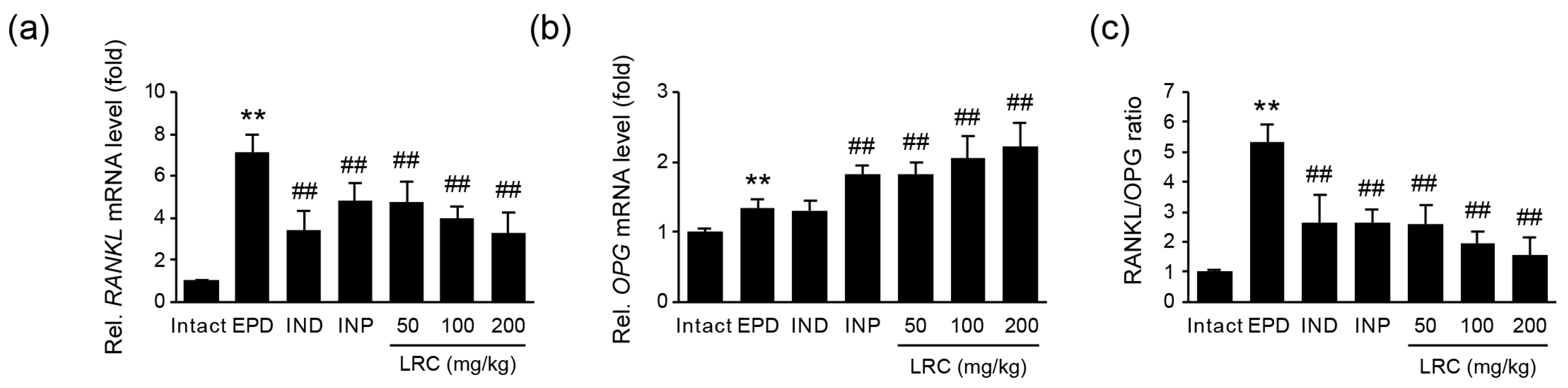 Antioxidants 13 01332 g009 Antioxidants 13 01332 g009