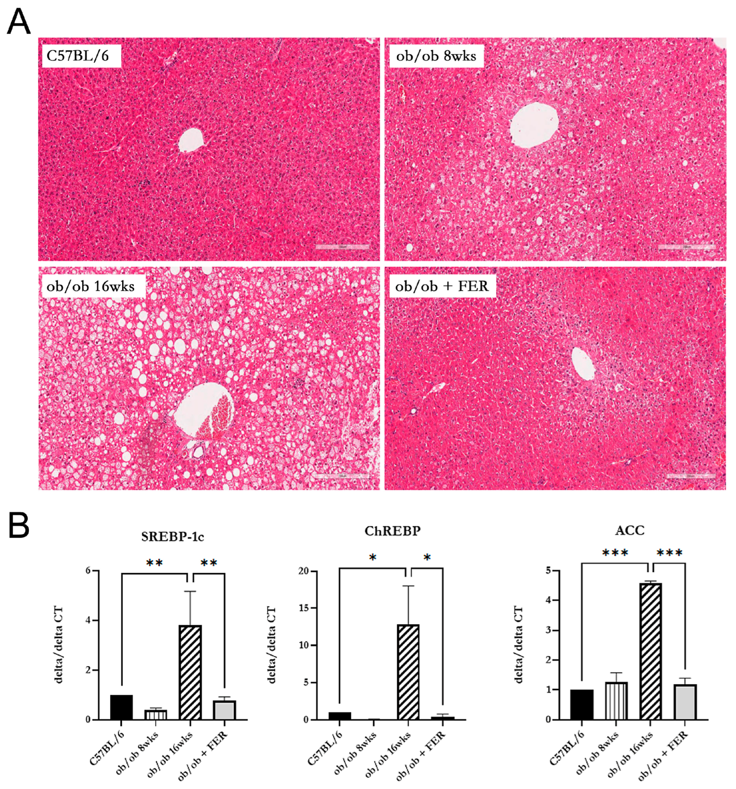 Antioxidants 13 01336 g002