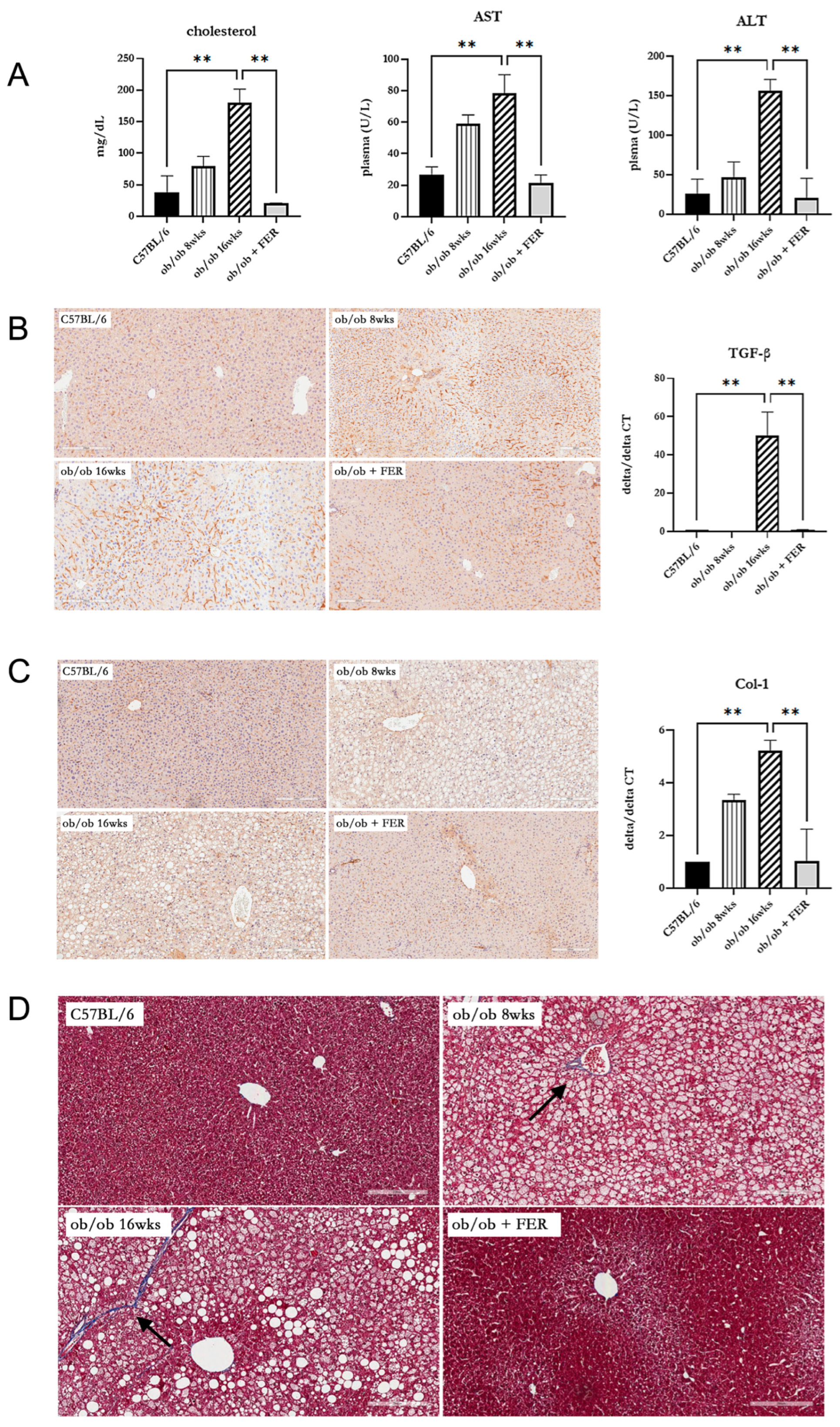 Antioxidants 13 01336 g004