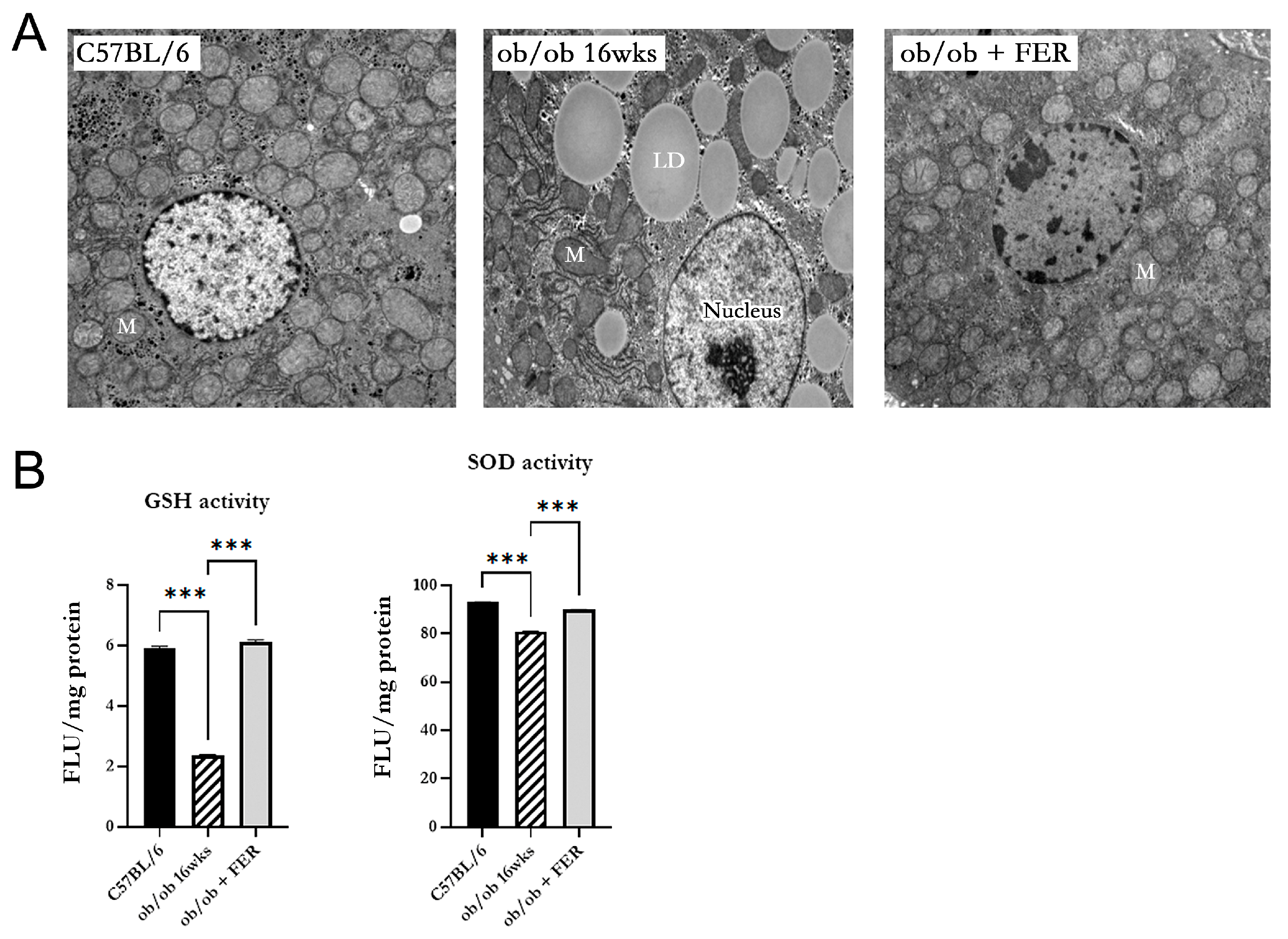 Antioxidants 13 01336 g006