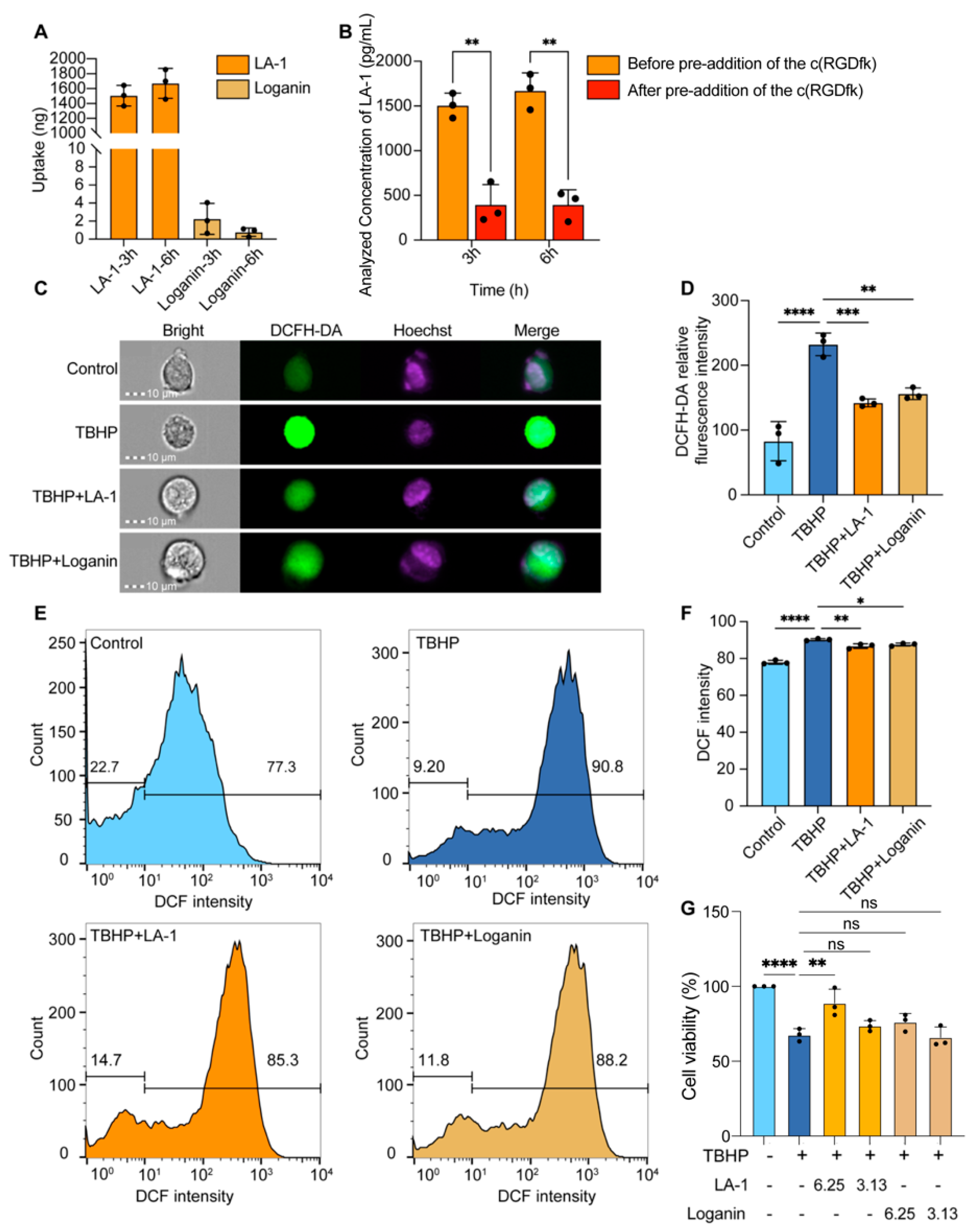 Antioxidants 13 01339 g003