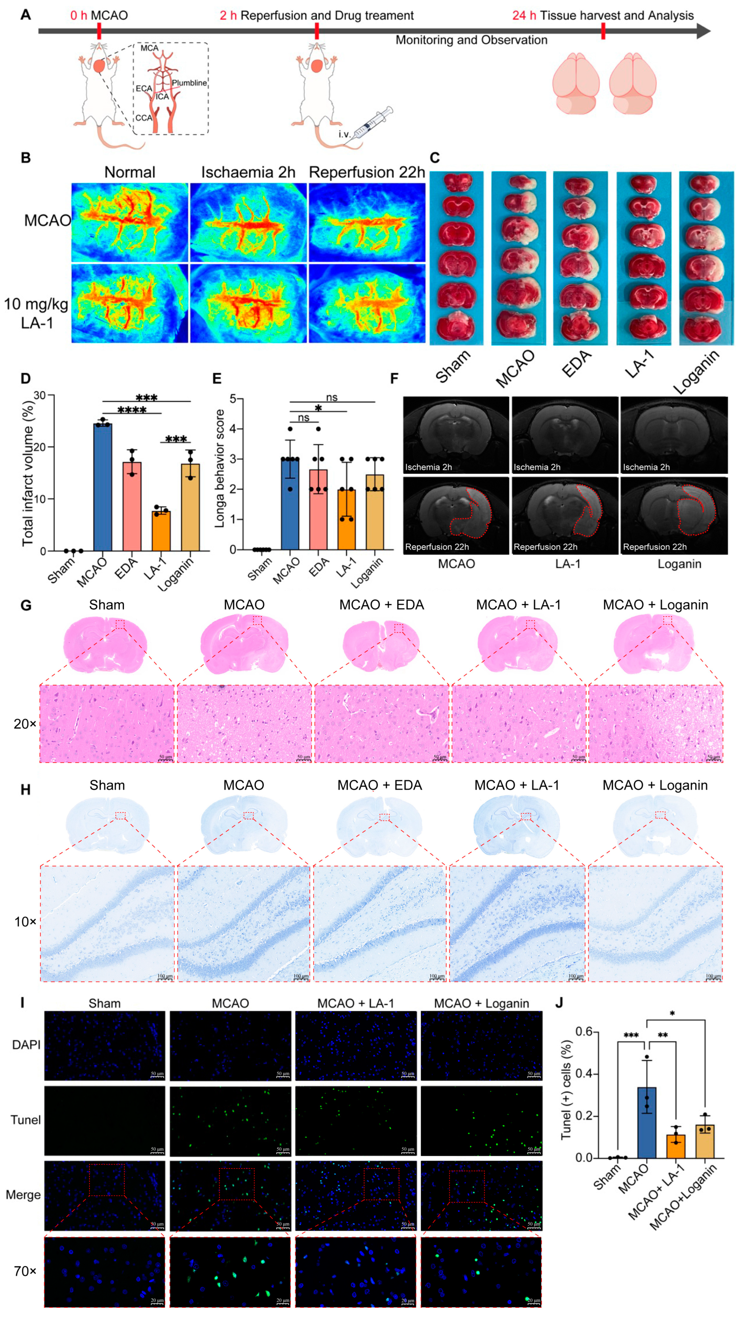 Antioxidants 13 01339 g005