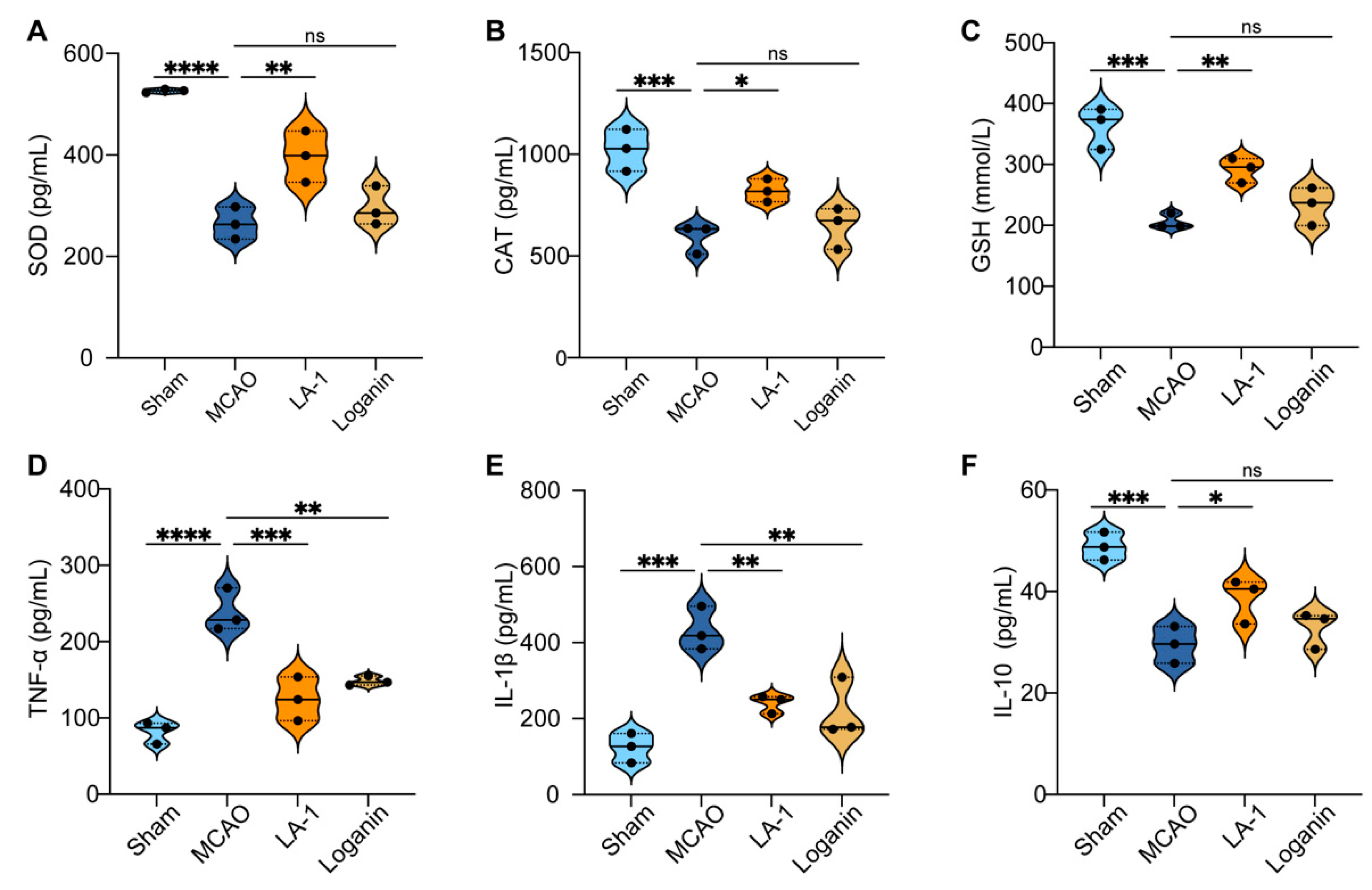 Antioxidants 13 01339 g006