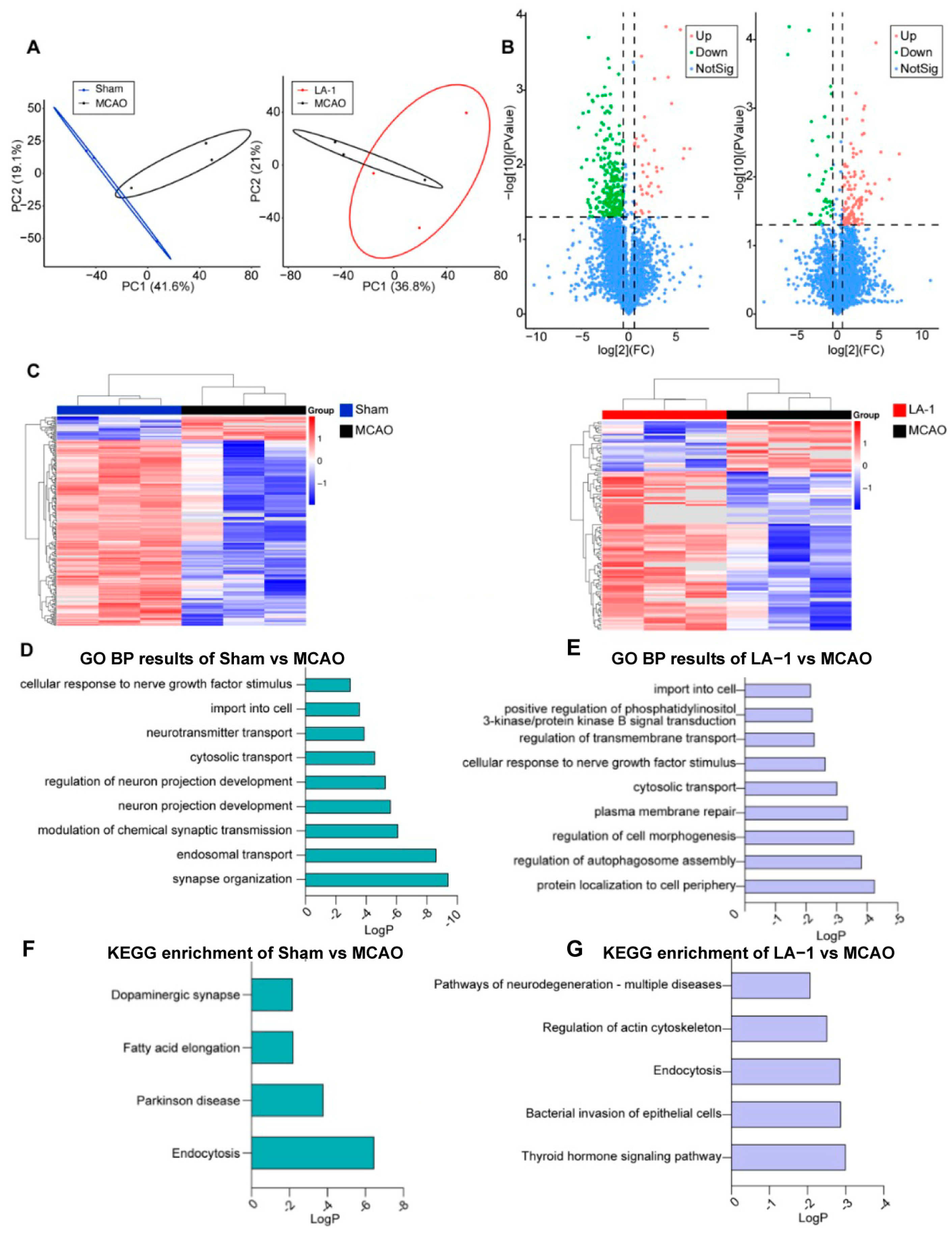 Antioxidants 13 01339 g007