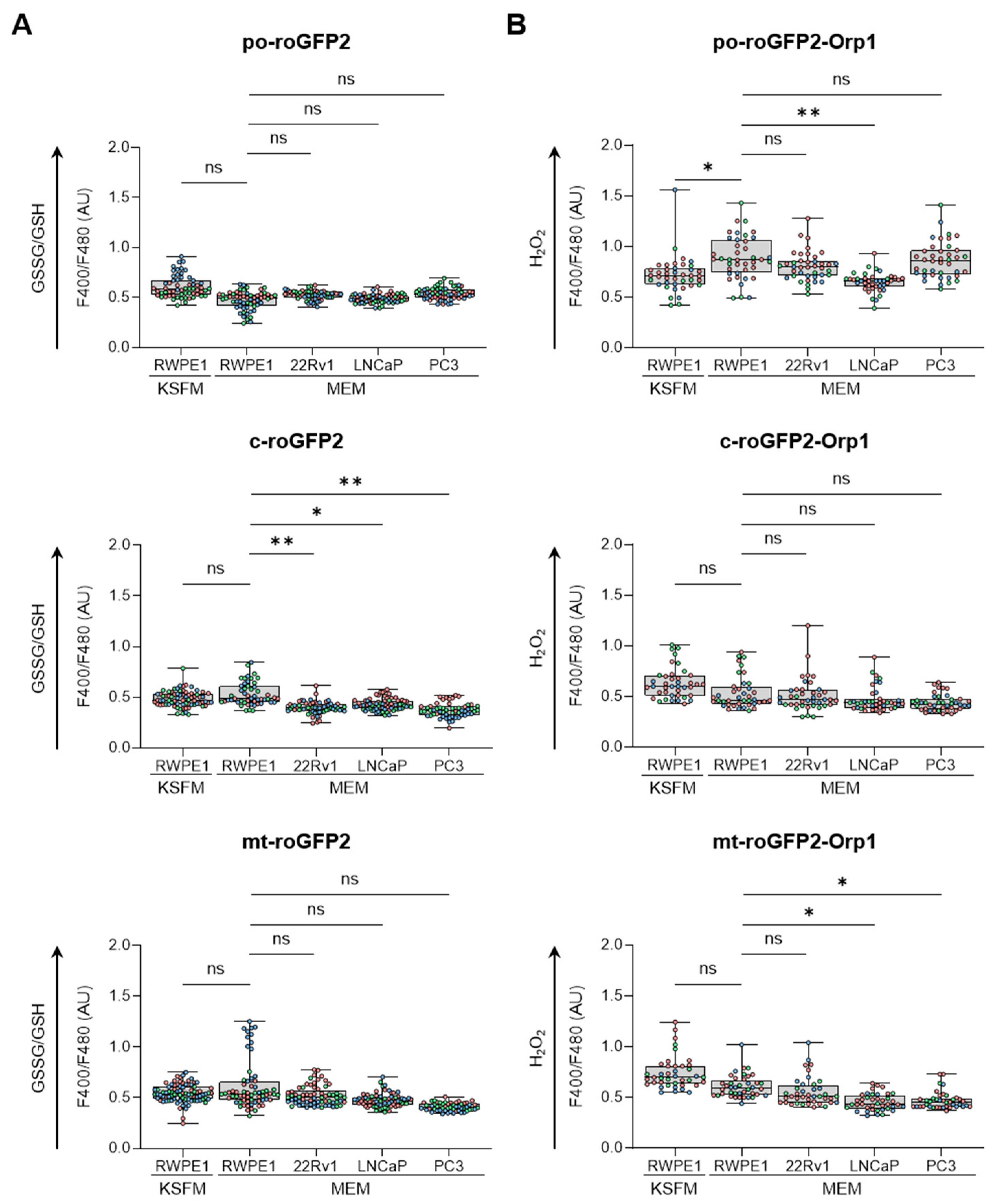 Antioxidants 13 01340 g001