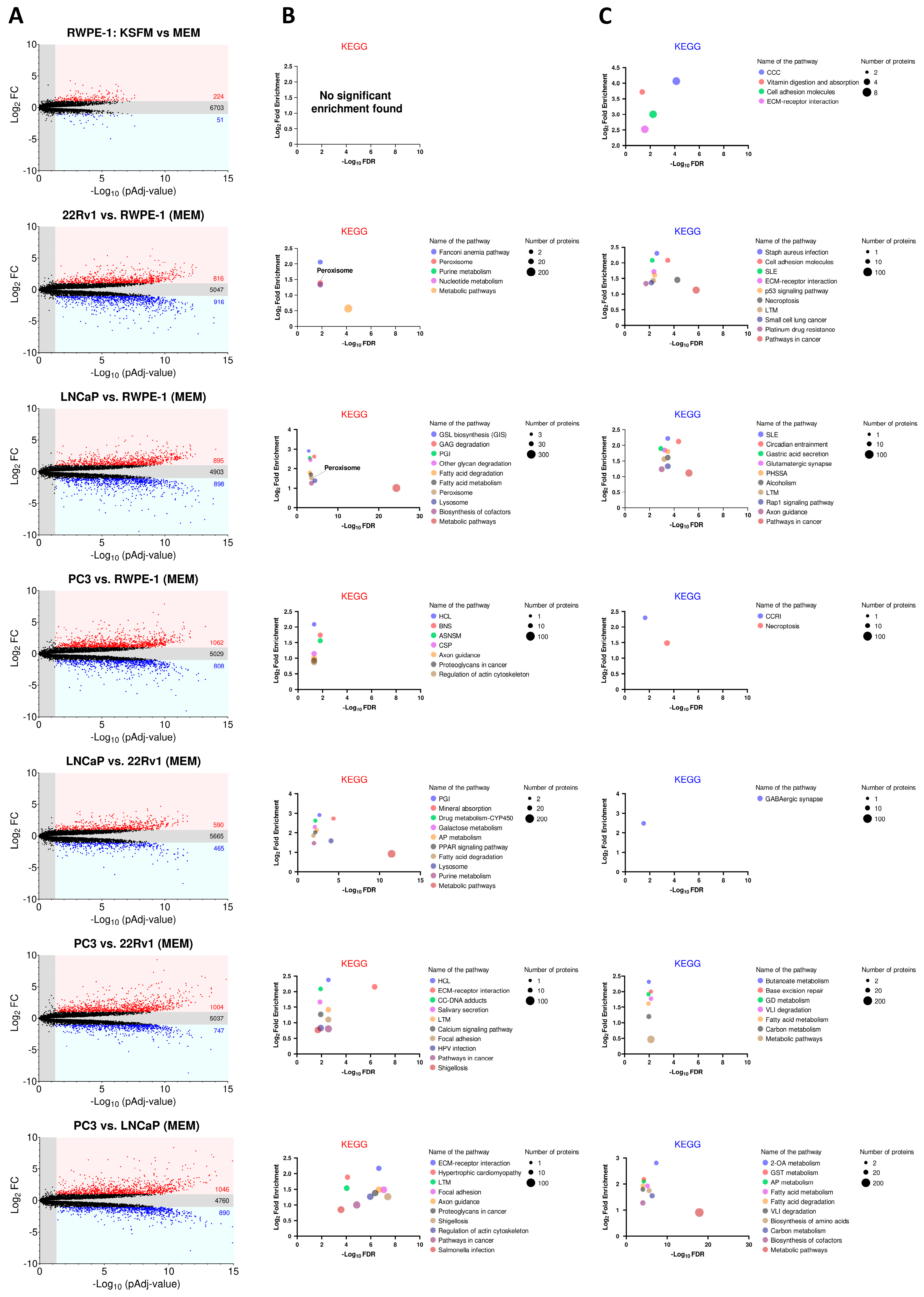 Antioxidants 13 01340 g003