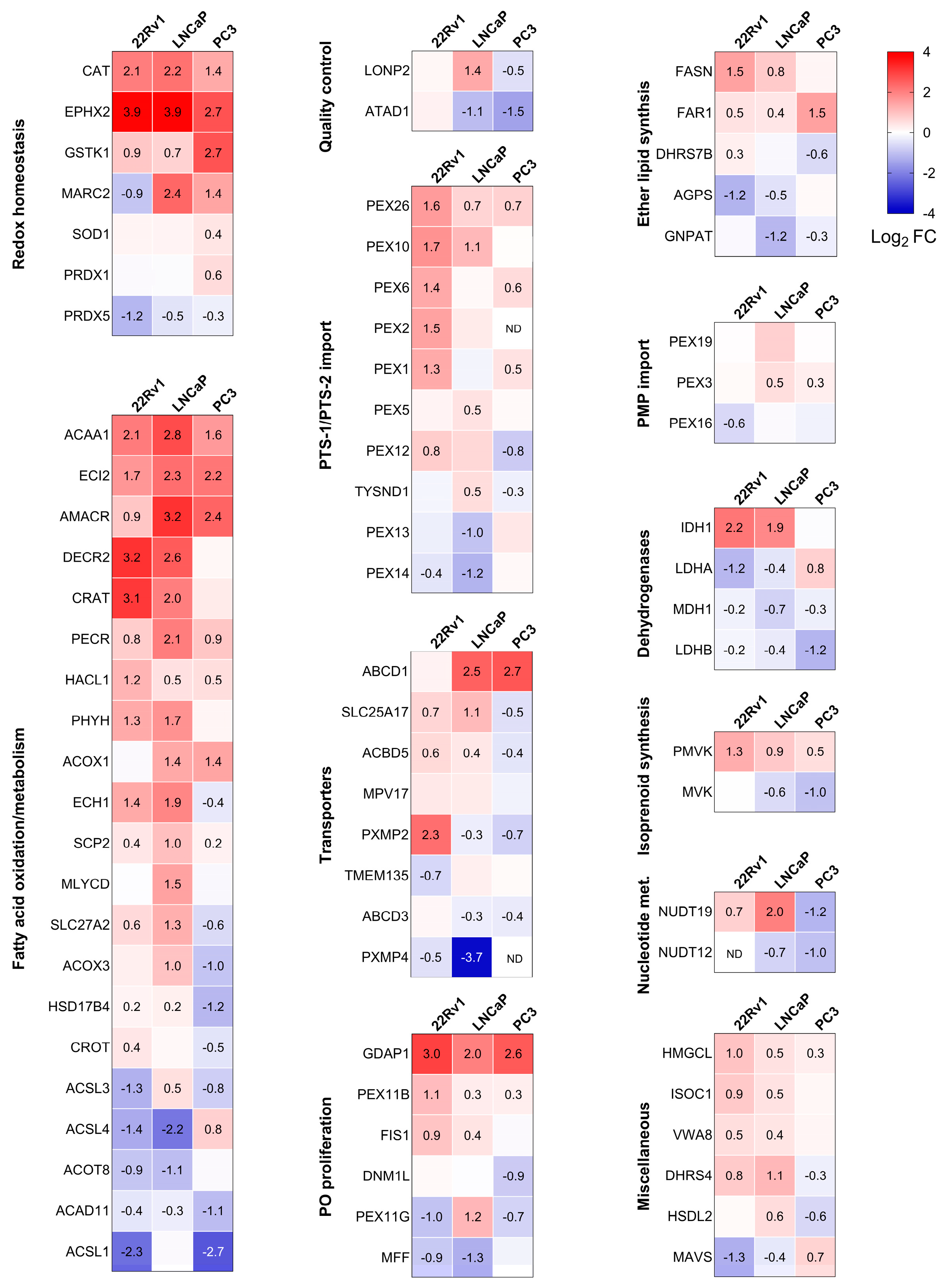 Antioxidants 13 01340 g004