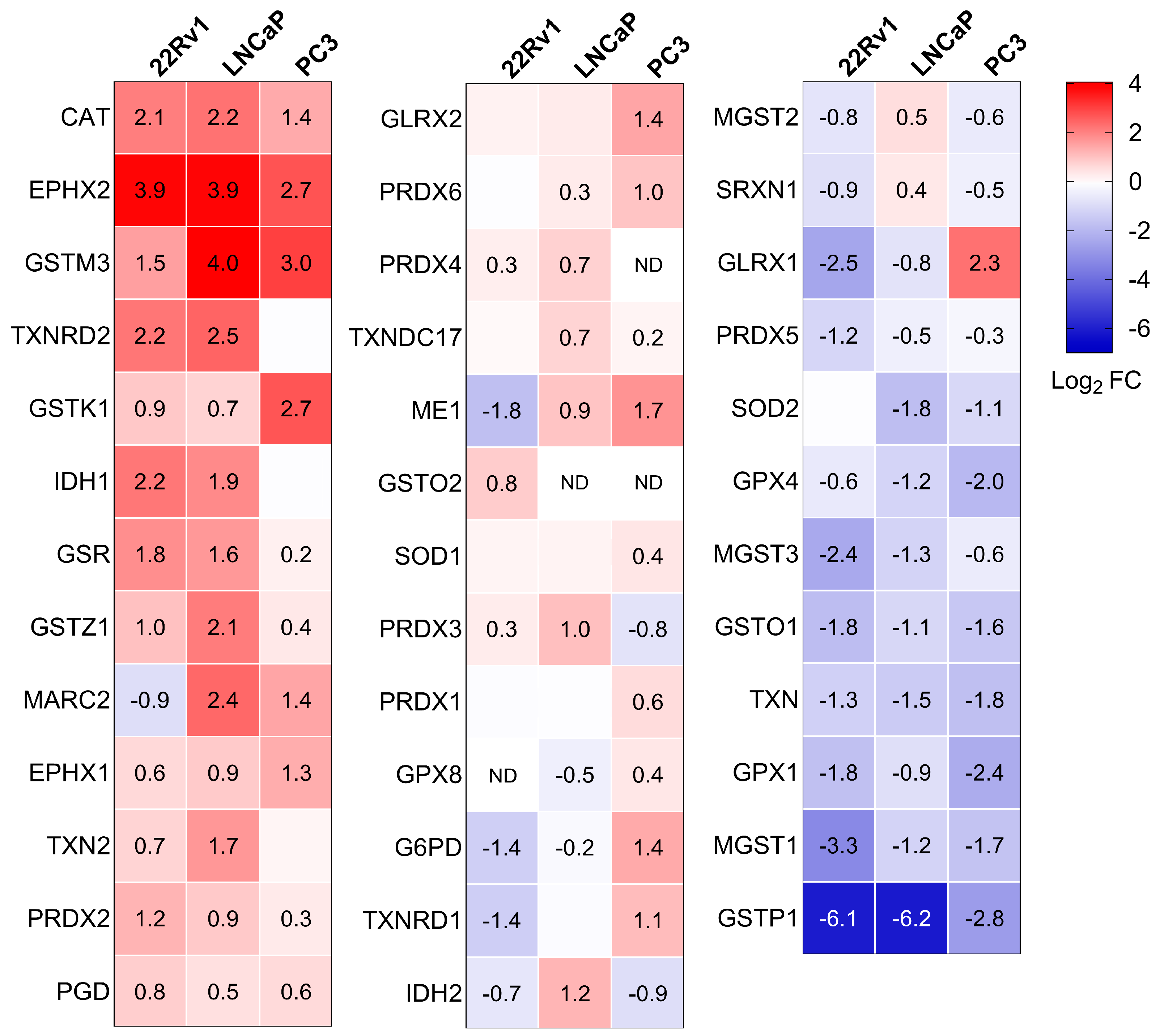 Antioxidants 13 01340 g005